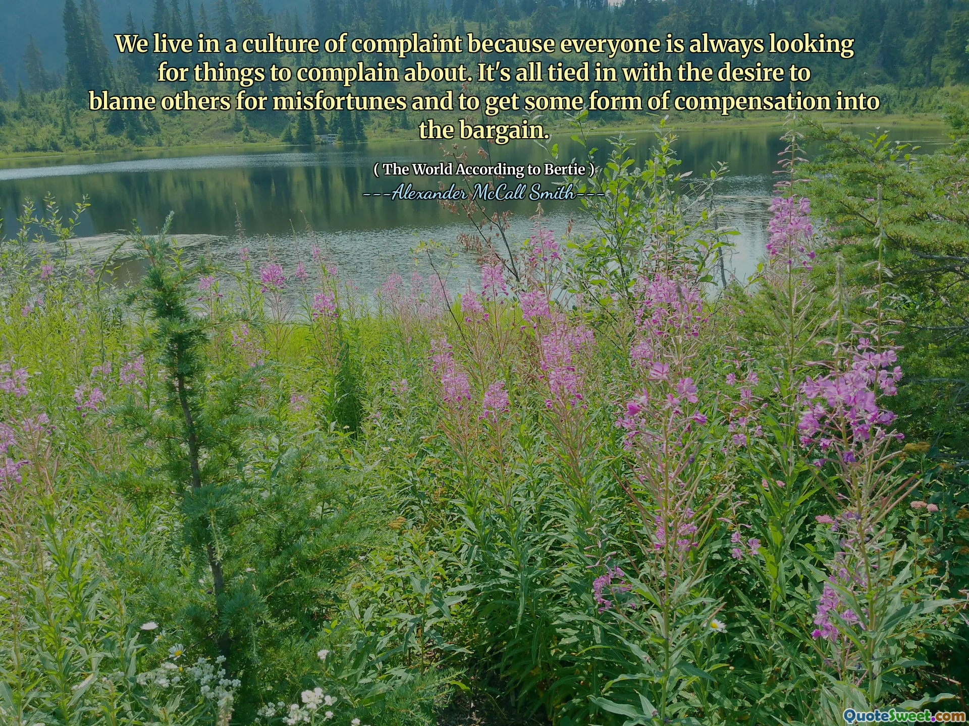 誰もが常に不平を言うことを探しているので、私たちは苦情の文化に住んでいます。それはすべて、他の人を不幸のせいにしたいという願望と結びついており、何らかの形の補償を掘り出し物に入れたいと考えています。