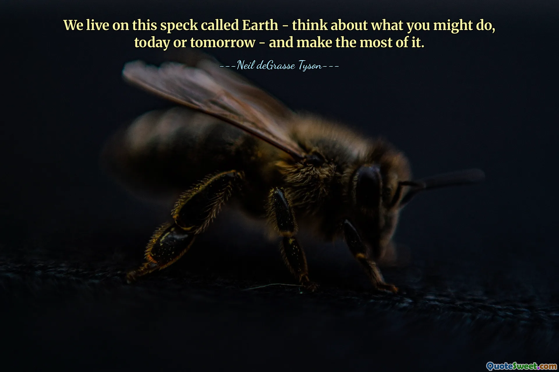 Nous vivons sur ce point appelé Terre – réfléchissez à ce que vous pourriez faire, aujourd’hui ou demain – et profitez-en au maximum.