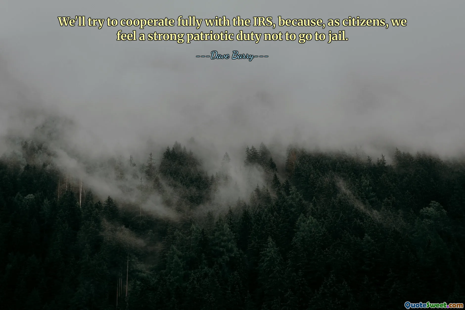 IRS ile tam işbirliği yapmaya çalışacağız çünkü vatandaşlar olarak hapse girmemek konusunda güçlü bir vatanseverlik görevimiz olduğunu düşünüyoruz.