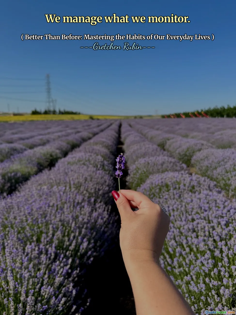 We manage what we monitor.