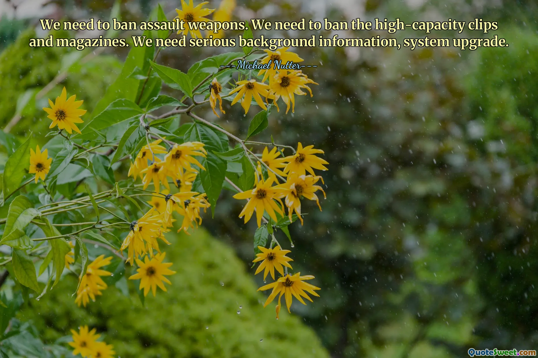 Musimy zakazać broni szturmowej. Musimy zakazać magazynków i magazynków o dużej pojemności. Potrzebujemy poważnych informacji ogólnych i aktualizacji systemu.