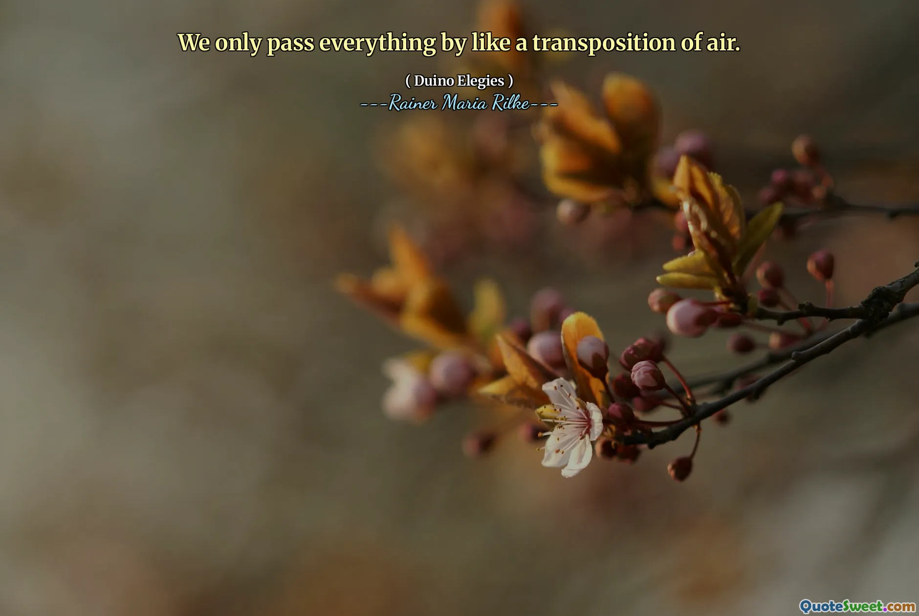 We only pass everything by like a transposition of air.