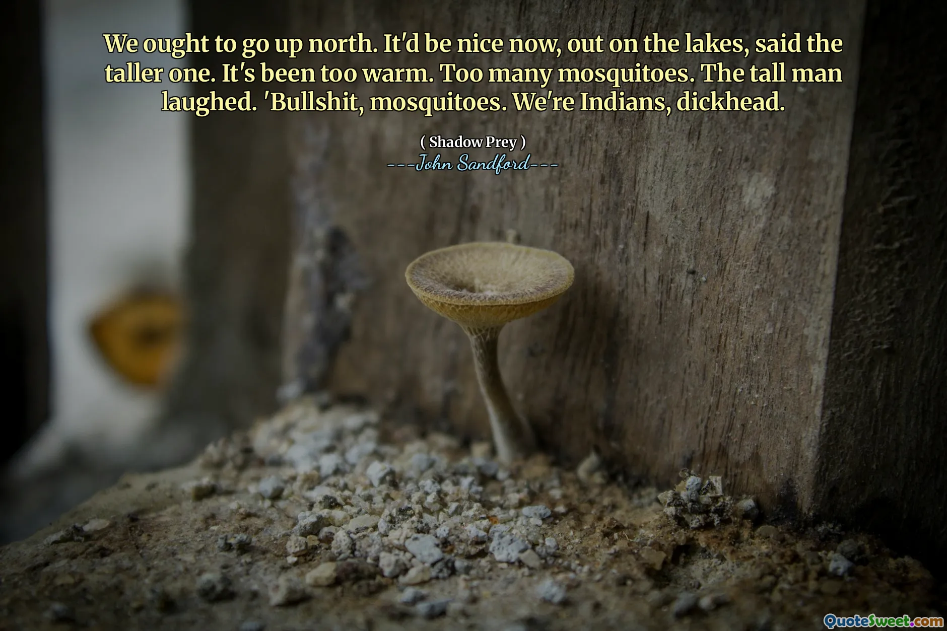 我们应该向北走。高个子说，现在就在湖边就好了。天气太热了。蚊子太多了。高个子男人笑道。 ‘废话，蚊子。我们是印度人，白痴。