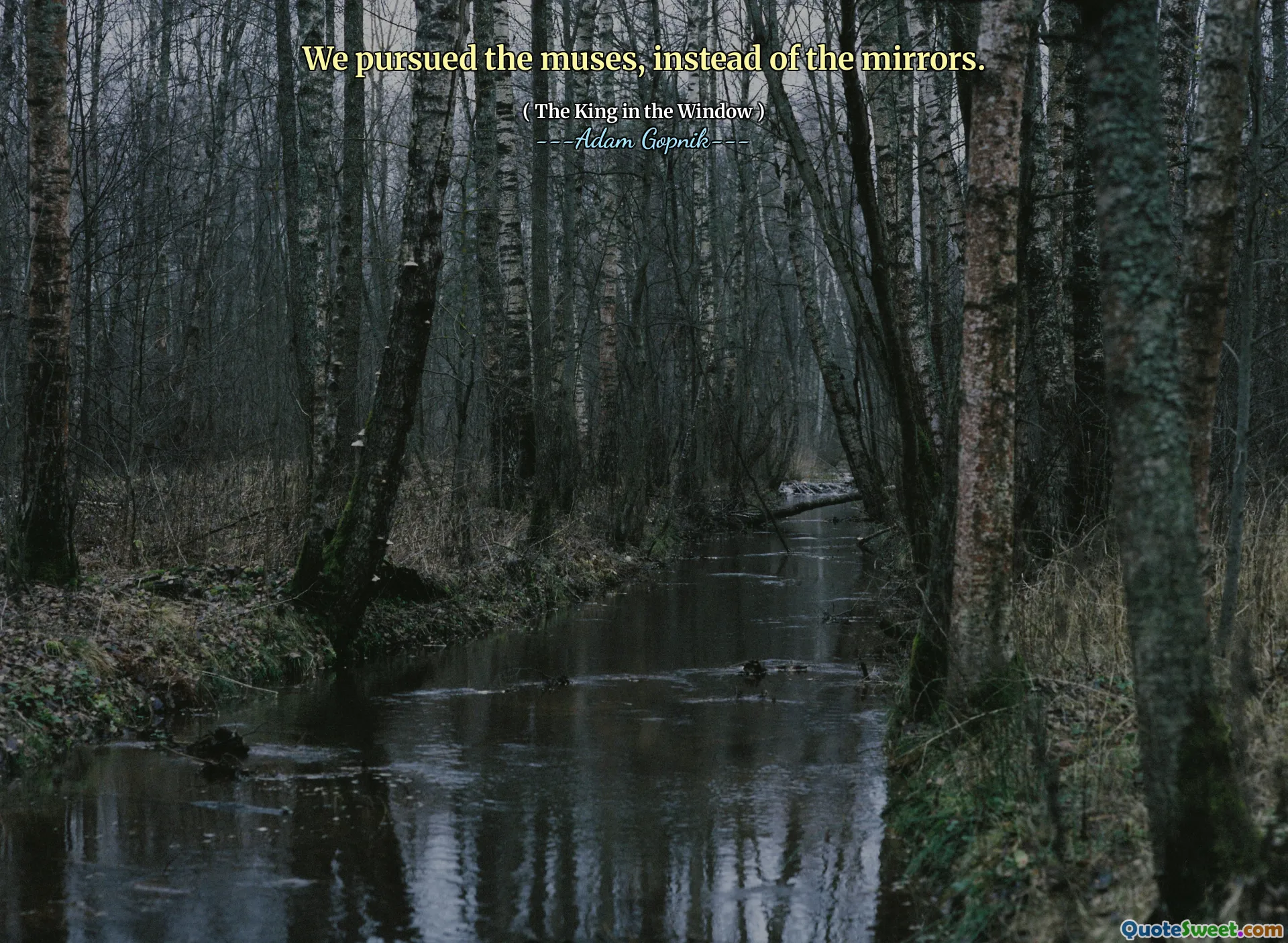 Perseguimos as musas, em vez dos espelhos.