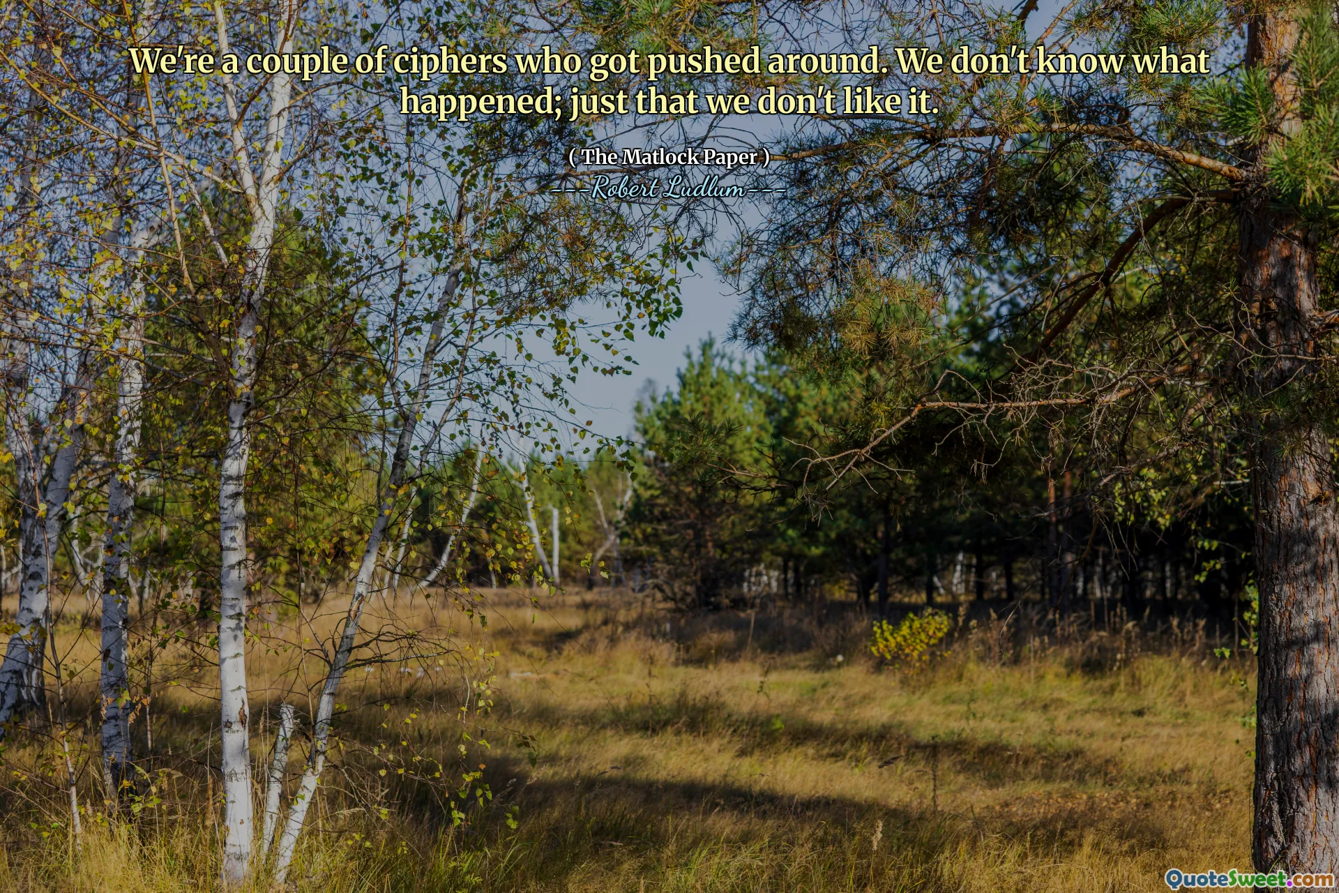 We're a couple of ciphers who got pushed around. We don't know what happened; just that we don't like it.