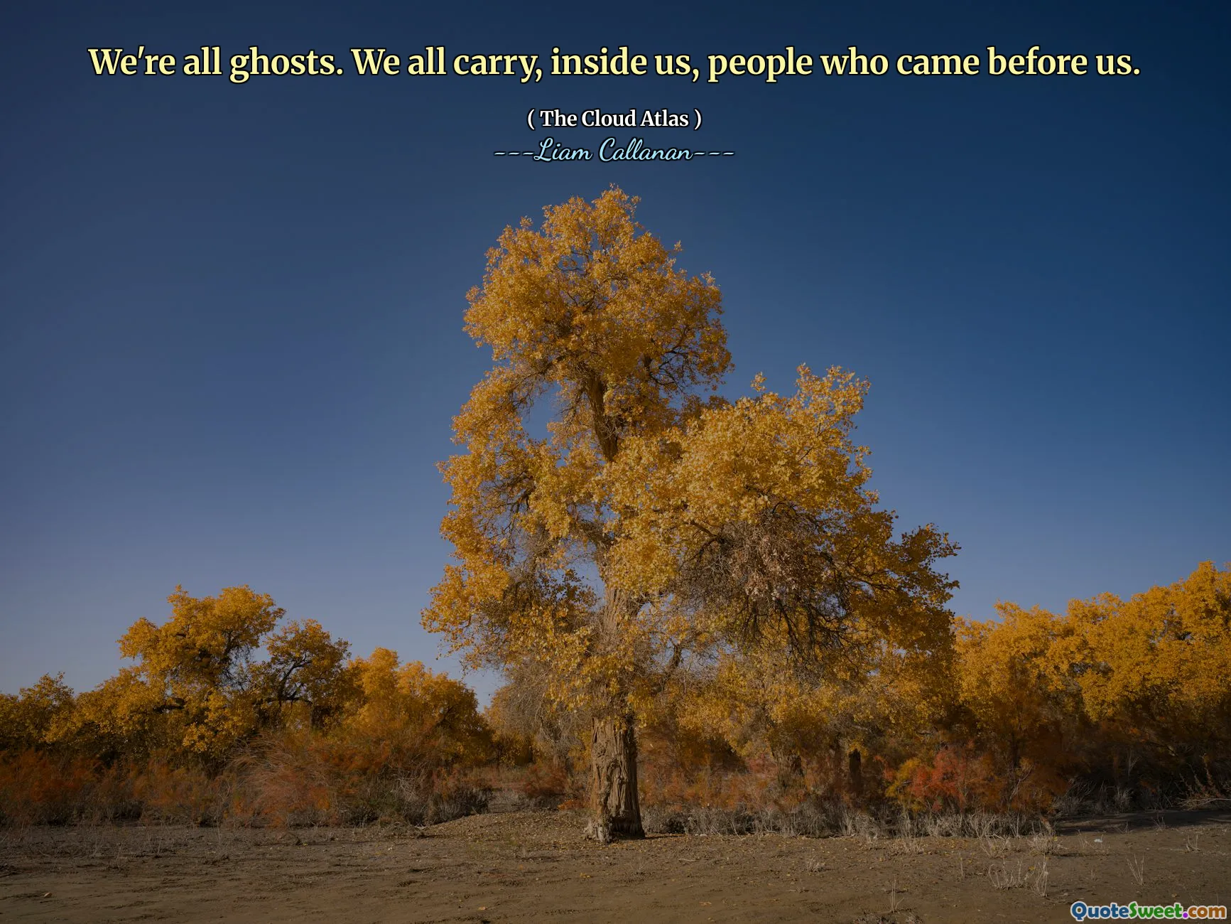 We're all ghosts. We all carry, inside us, people who came before us.