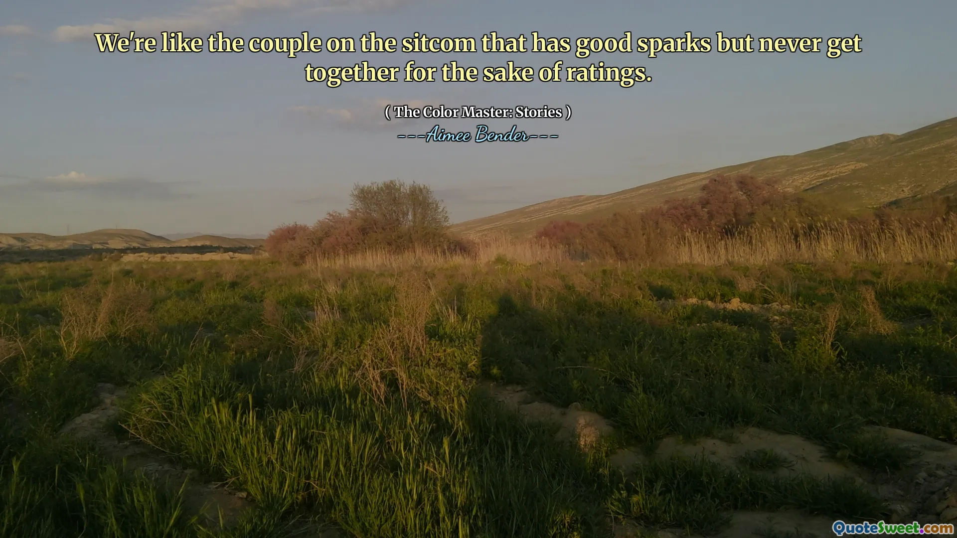 Vi är som paret på sitcom som har goda gnistor men aldrig träffas för betyg.