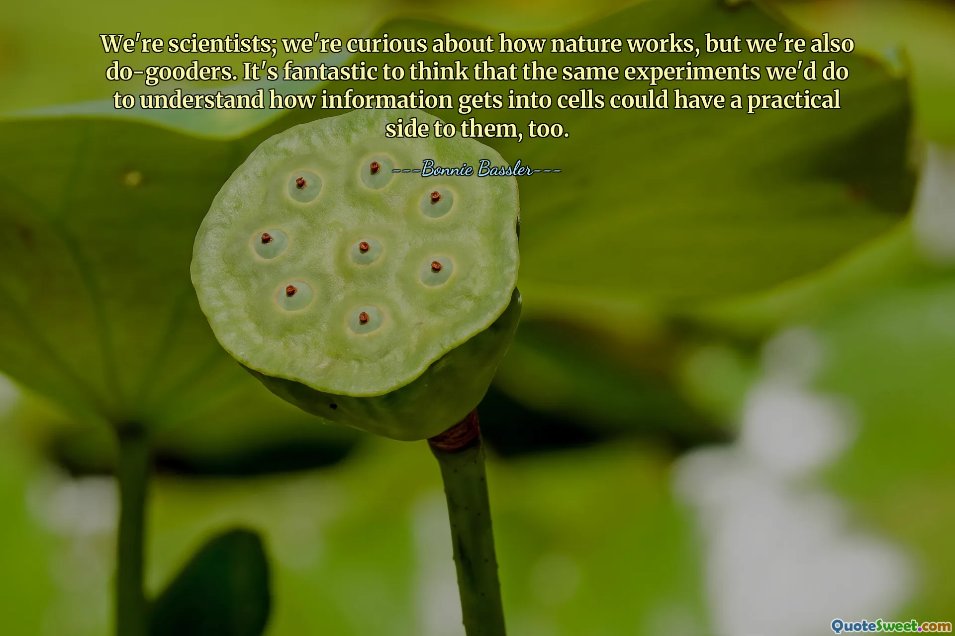 We're scientists; we're curious about how nature works, but we're also do-gooders. It's fantastic to think that the same experiments we'd do to understand how information gets into cells could have a practical side to them, too.