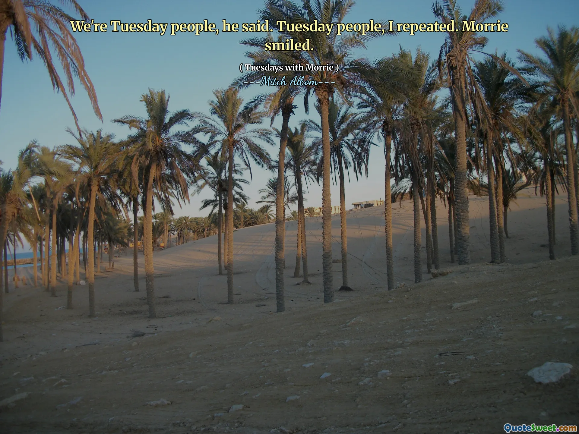 We're Tuesday people, he said. Tuesday people, I repeated. Morrie smiled.