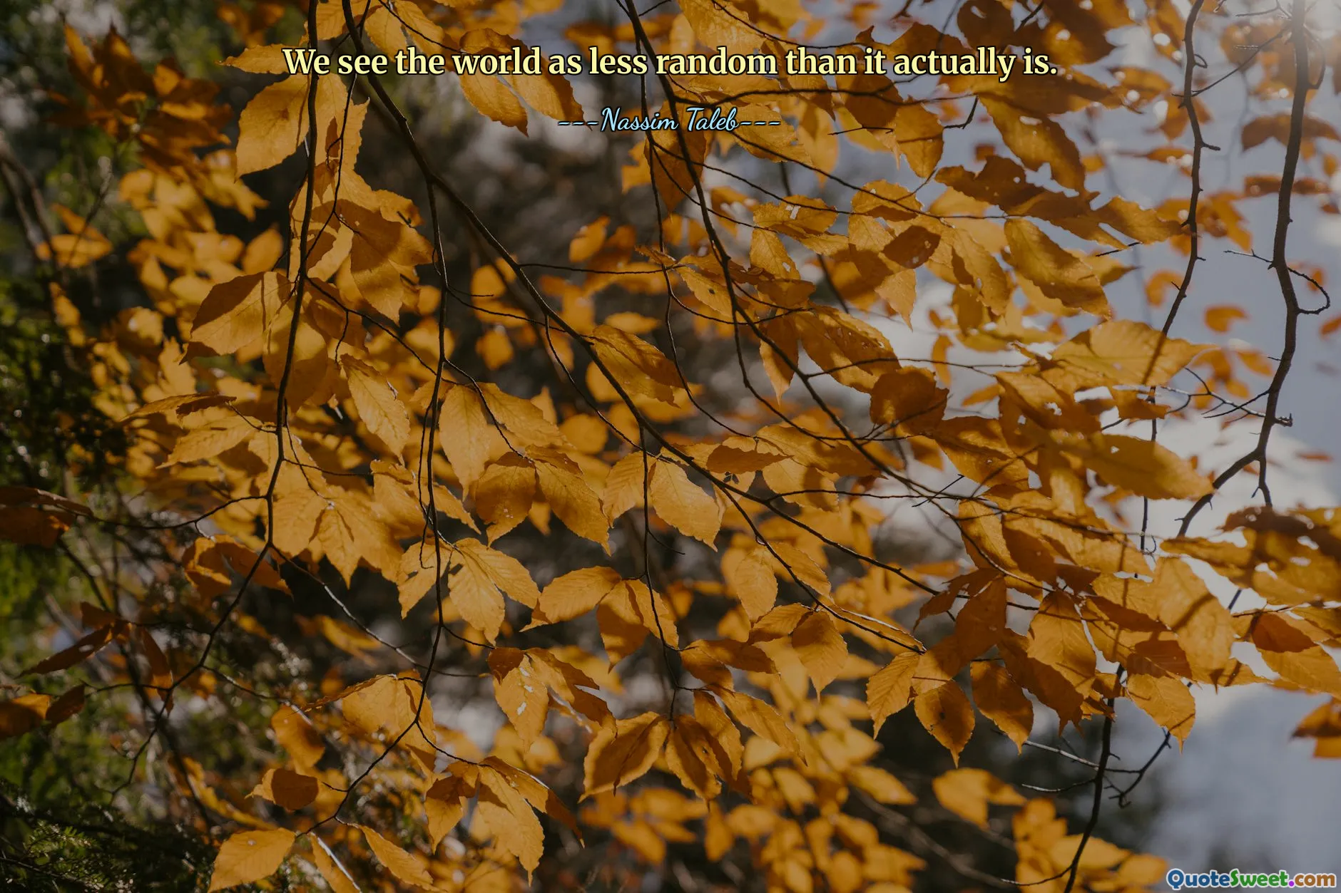 We see the world as less random than it actually is.