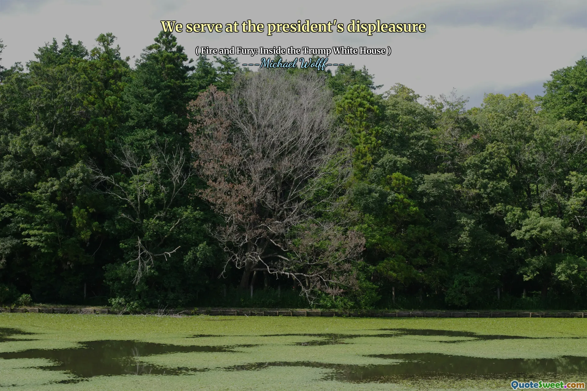 We serve at the president's displeasure