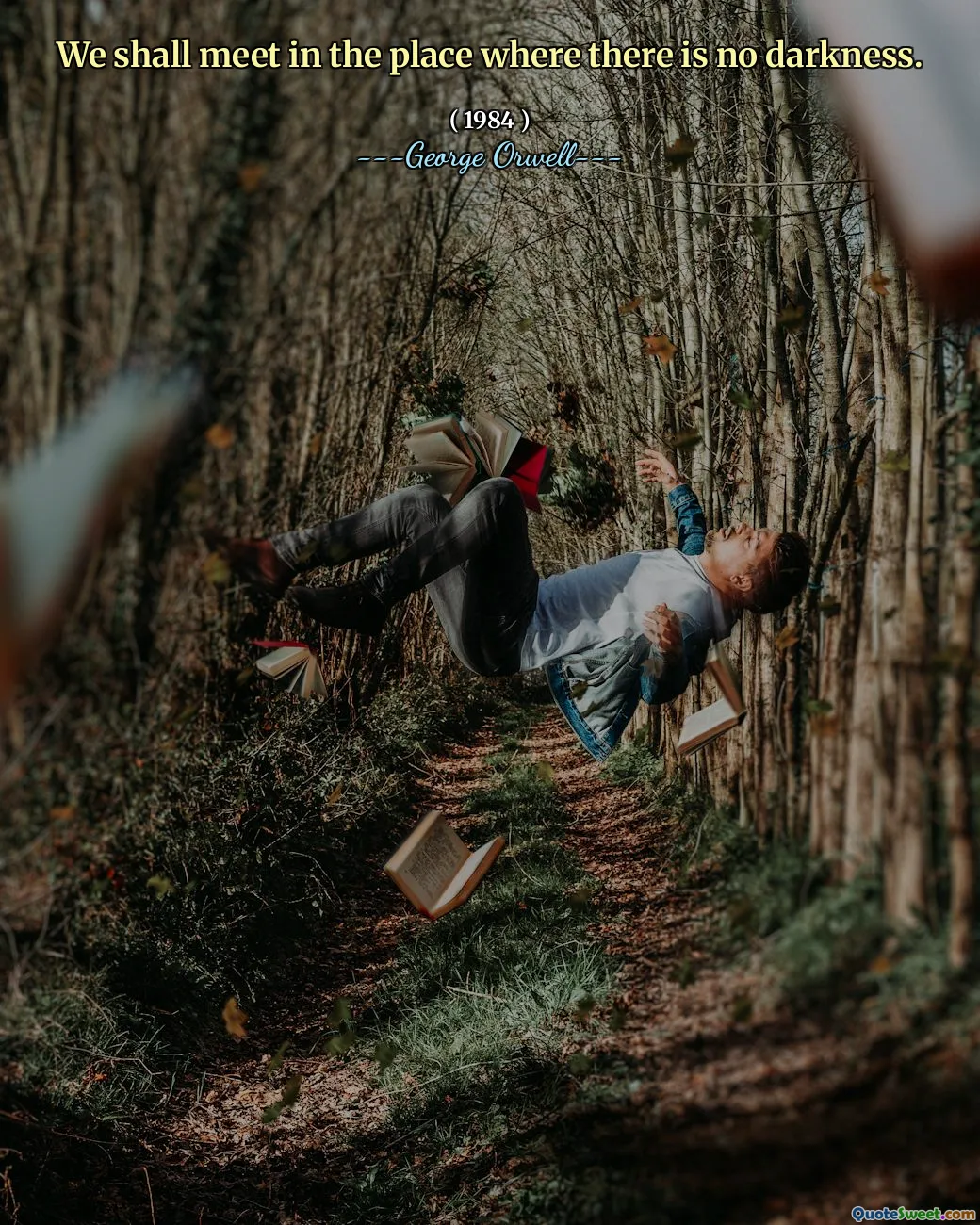 Nos encontraremos no local onde não há escuridão.