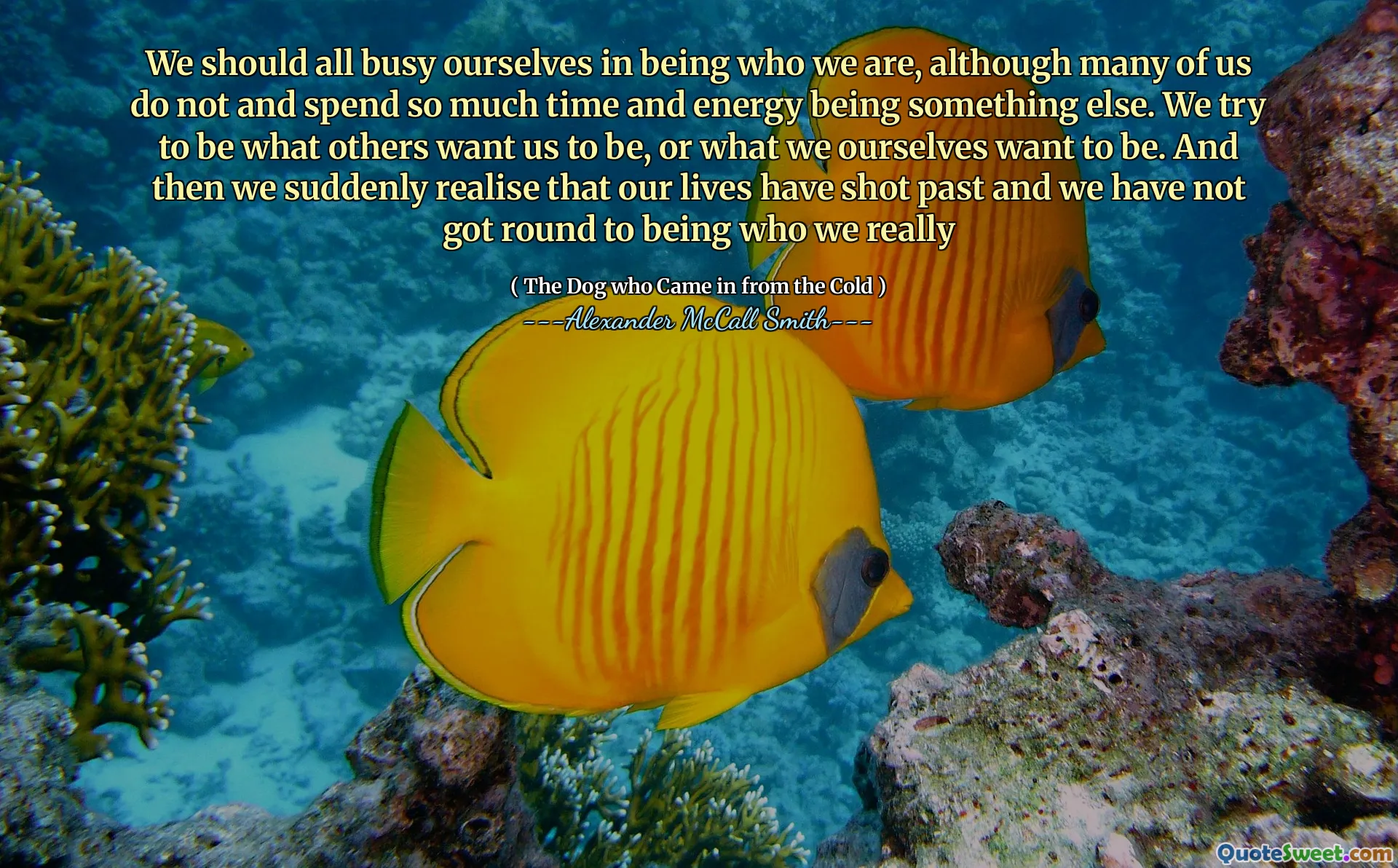 We moeten ons allemaal druk bezig zijn met zijn wie we zijn, hoewel velen van ons niet zoveel tijd en energie besteden als iets anders. We proberen te zijn wat anderen willen dat we zijn, of wat wij zelf willen zijn. En dan realiseren we ons plotseling dat ons leven voorbij is geschoten en we zijn er niet aan gekomen om echt te zijn wie we echt hebben