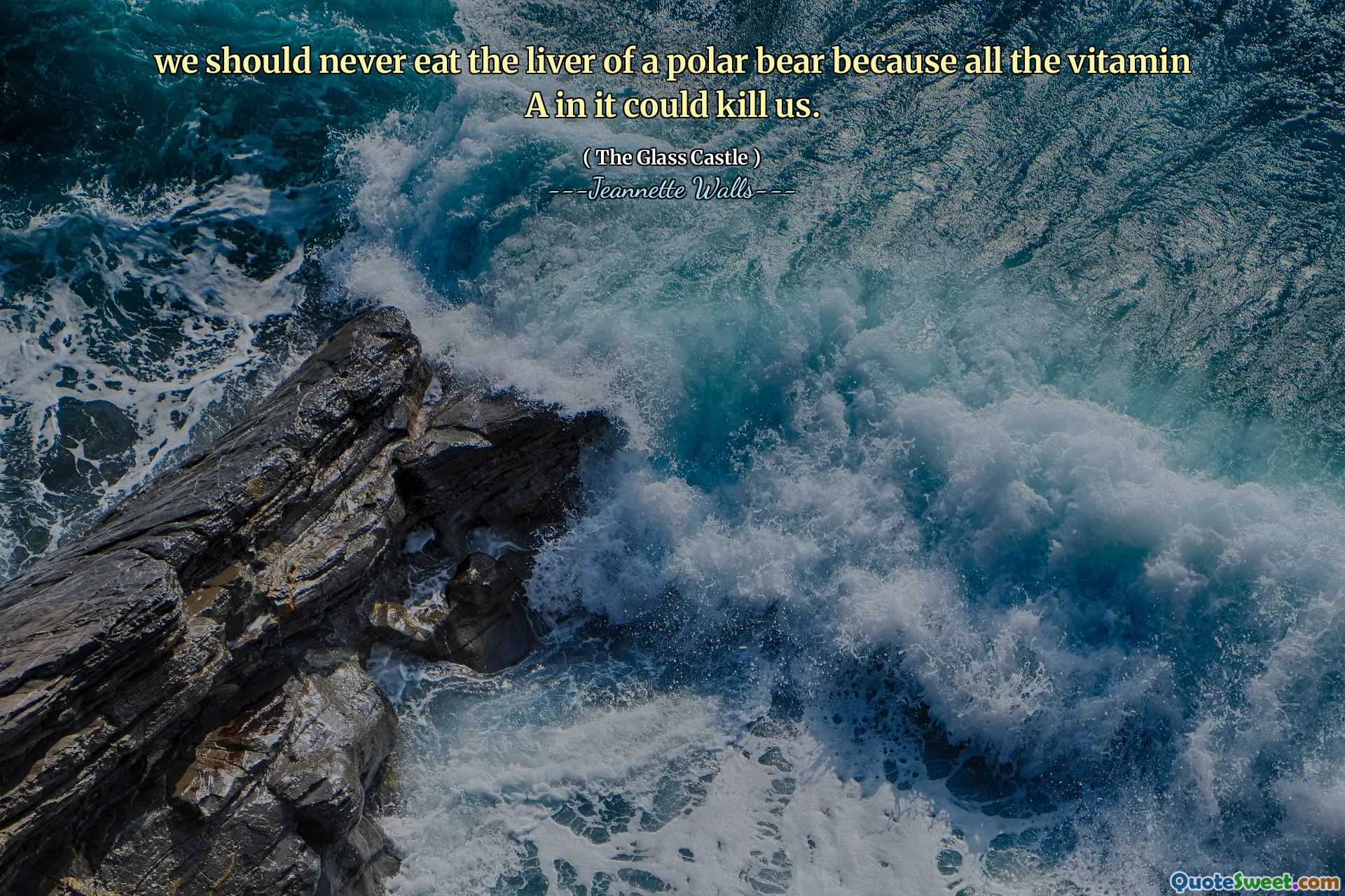 Vi bör aldrig äta levern av en isbjörn eftersom allt vitamin A i det kan döda oss.