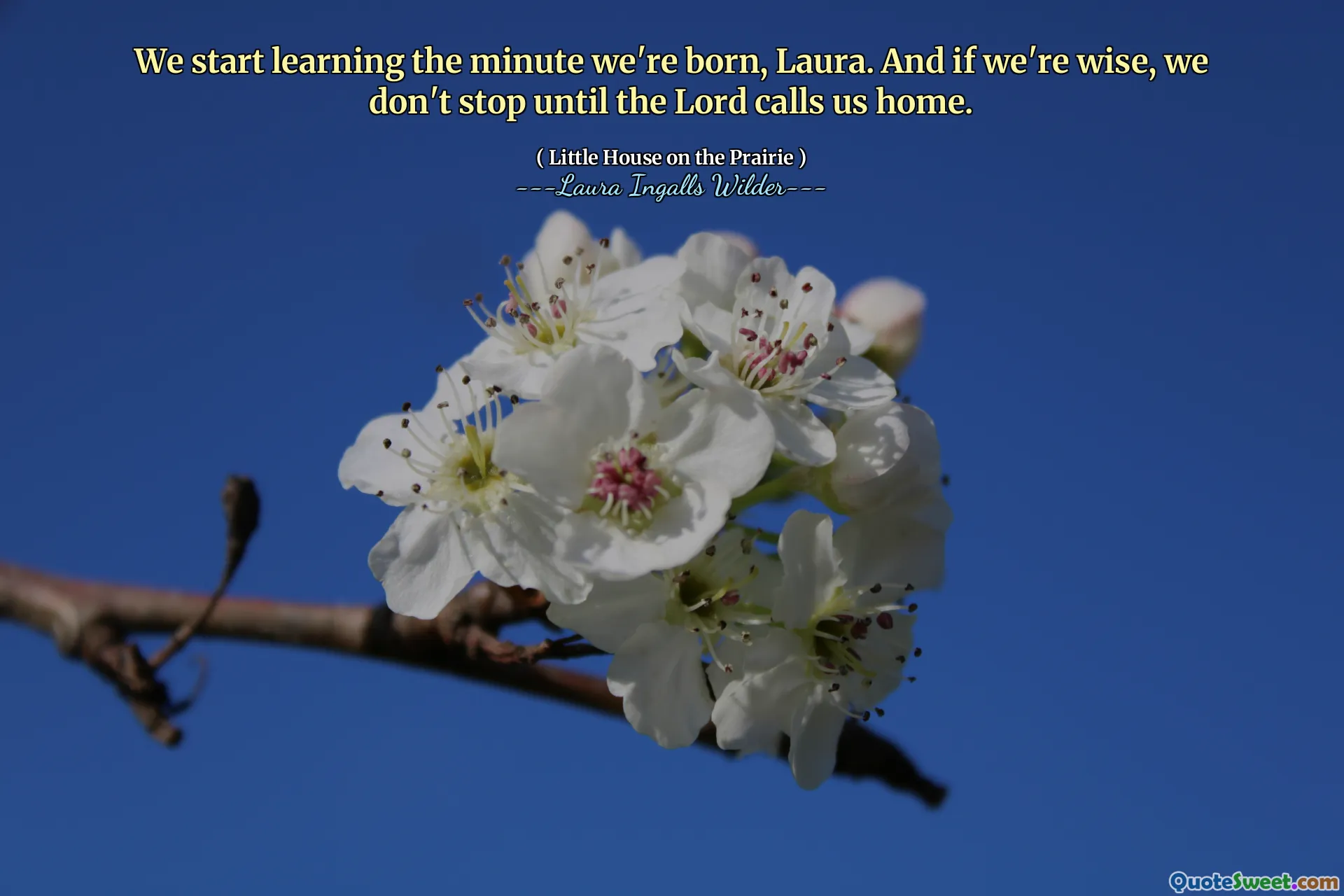 We start learning the minute we're born, Laura. And if we're wise, we don't stop until the Lord calls us home.