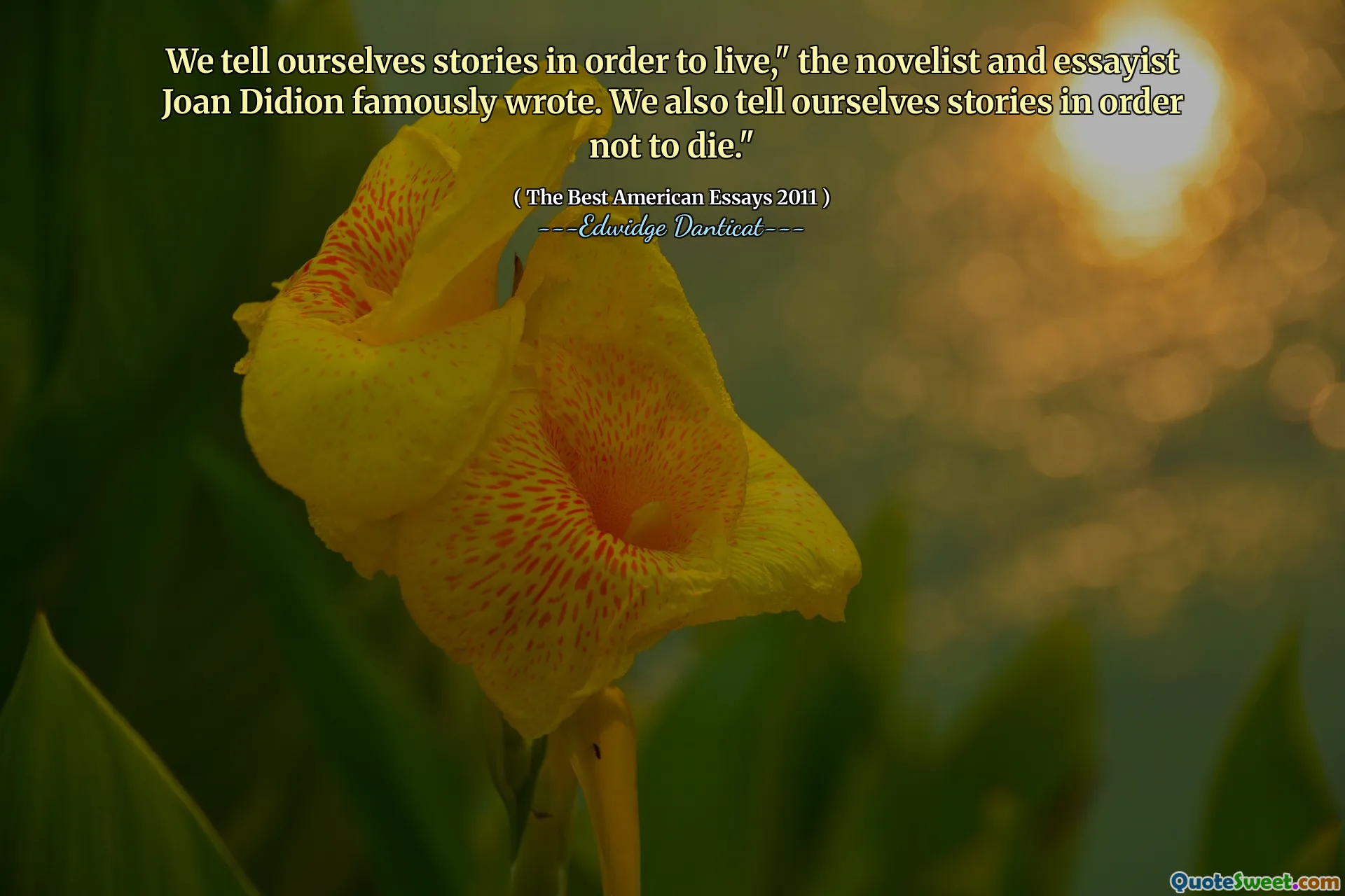 Мы рассказываем себе истории, чтобы жить, - классно написала романист и эссеист Джоан Дидион. Мы также рассказываем себе истории, чтобы не умереть ».