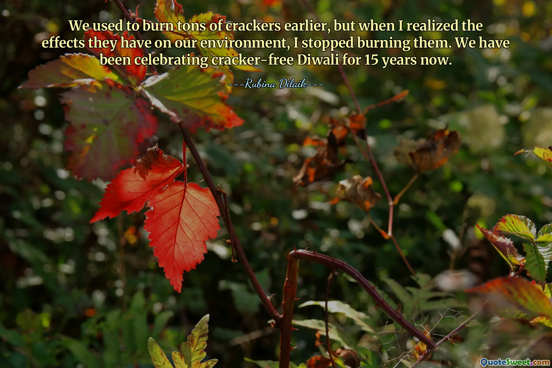 ადრე ტონობით კრეკერს ვწვავდით, მაგრამ როცა მივხვდი რა გავლენას ახდენს მათ გარემოზე, შევწყვიტე დაწვა. ჩვენ უკვე 15 წელია ვზეიმობთ კრეკერის გარეშე დივალს.