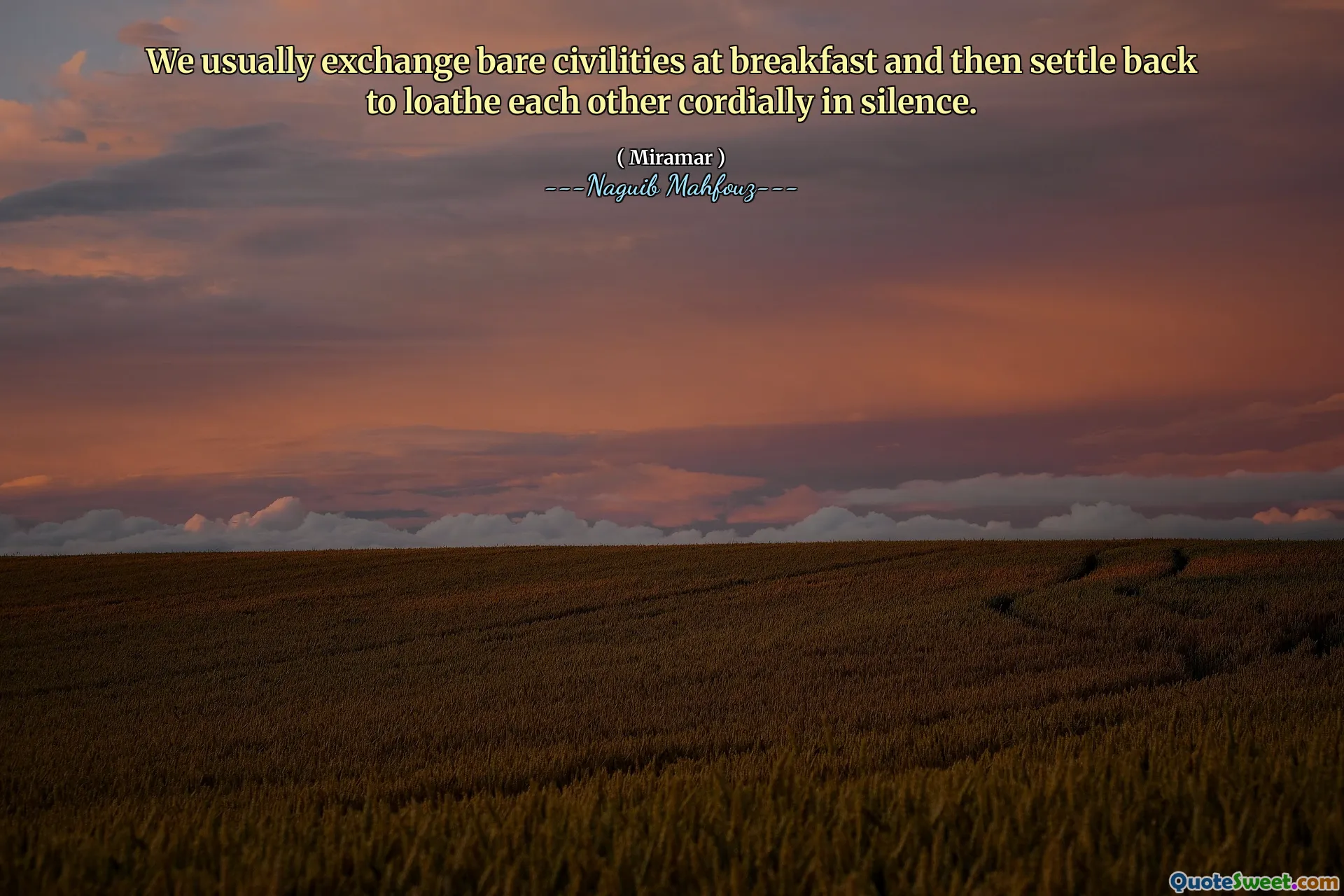 ჩვენ ჩვეულებრივ ვცვლით შიშველ სამოქალაქო პირებს საუზმეზე და შემდეგ ვუბრუნდებით ერთმანეთს, რომ ერთმანეთს გულგრილად ჩუმად გავაუმჯობესოთ.