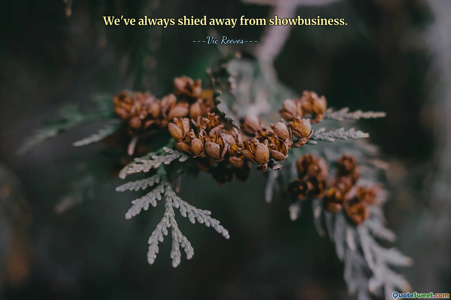 We've always shied away from showbusiness.