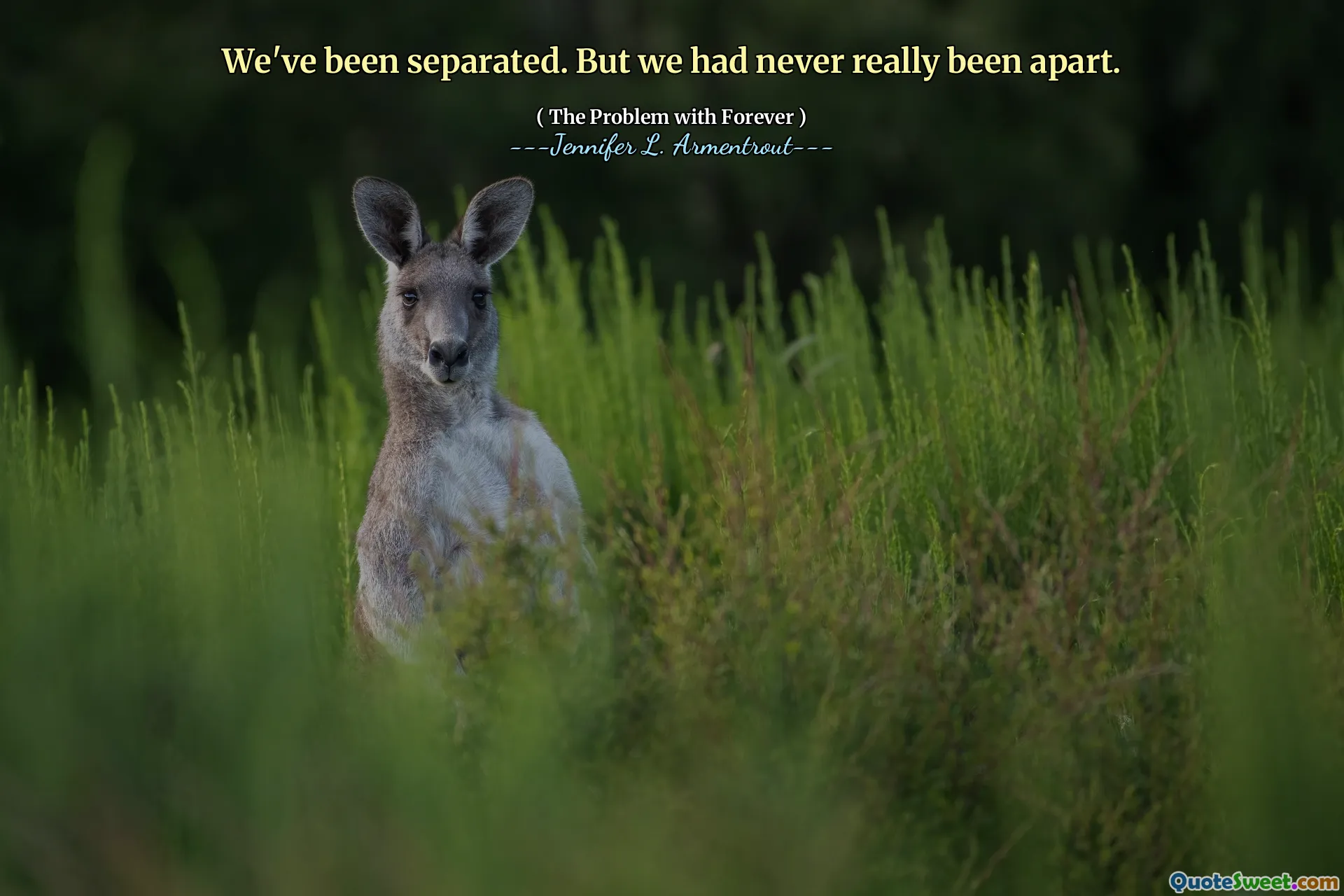 We've been separated. But we had never really been apart.