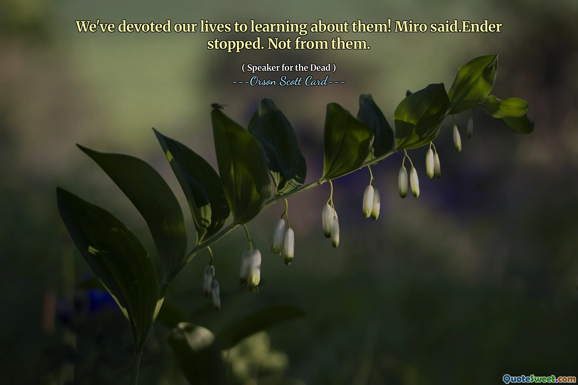 우리는 그들에 대해 배우는 데 평생을 바쳤습니다! 미로가 말했다.엔더가 멈췄다. 그들에게서는 아닙니다.