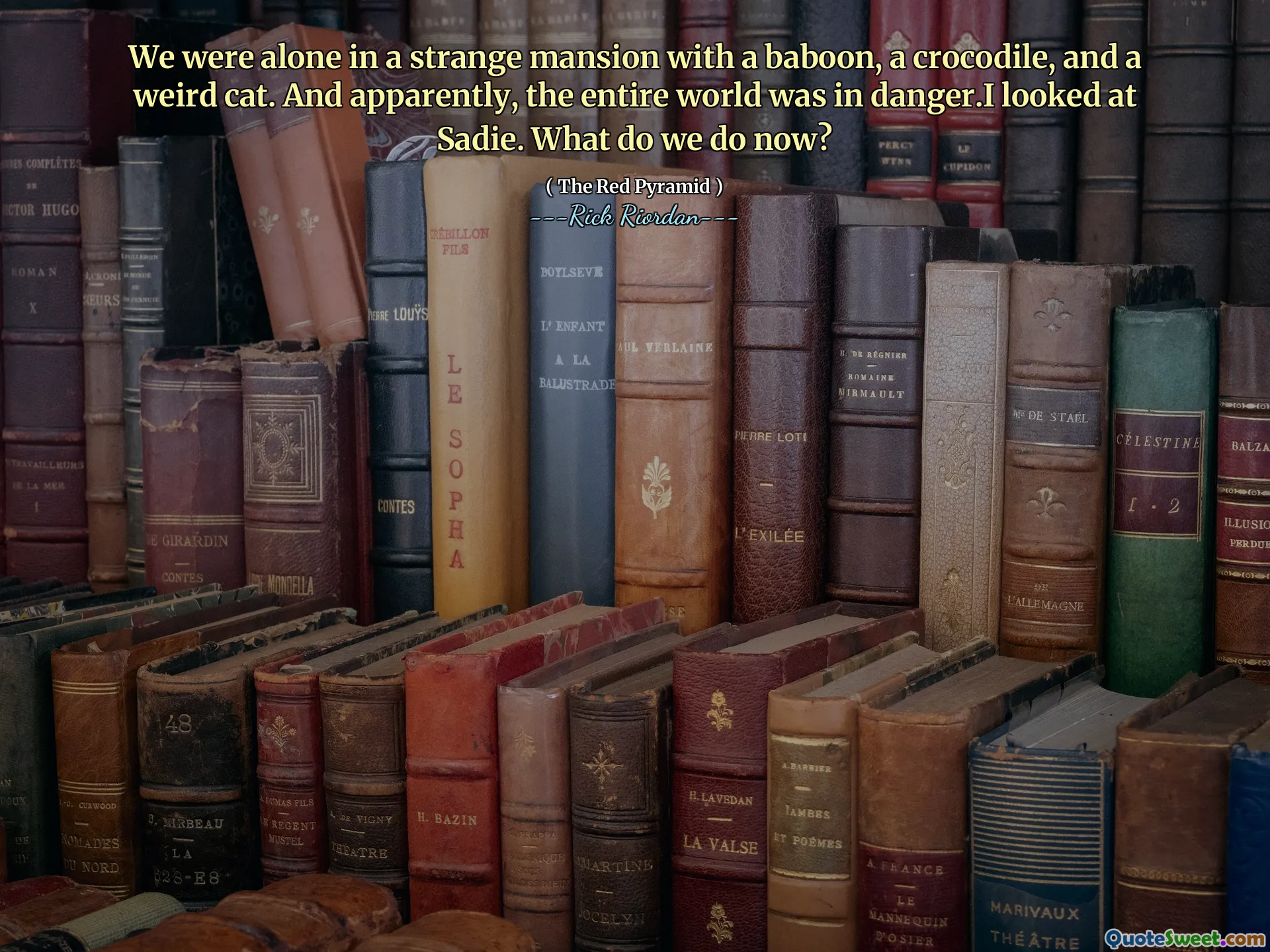 We were alone in a strange mansion with a baboon, a crocodile, and a weird cat. And apparently, the entire world was in danger.I looked at Sadie. What do we do now?