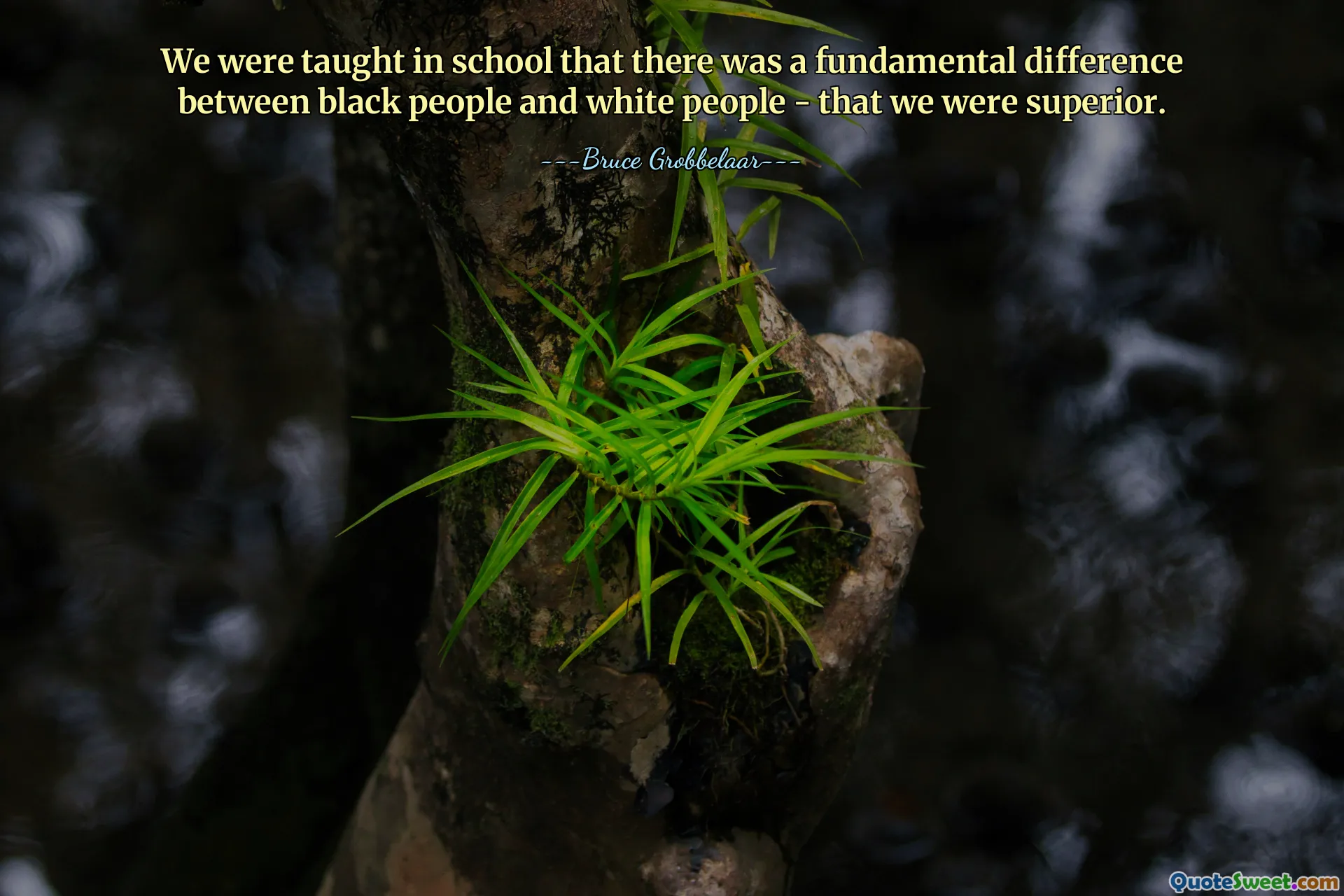 We were taught in school that there was a fundamental difference between black people and white people - that we were superior.