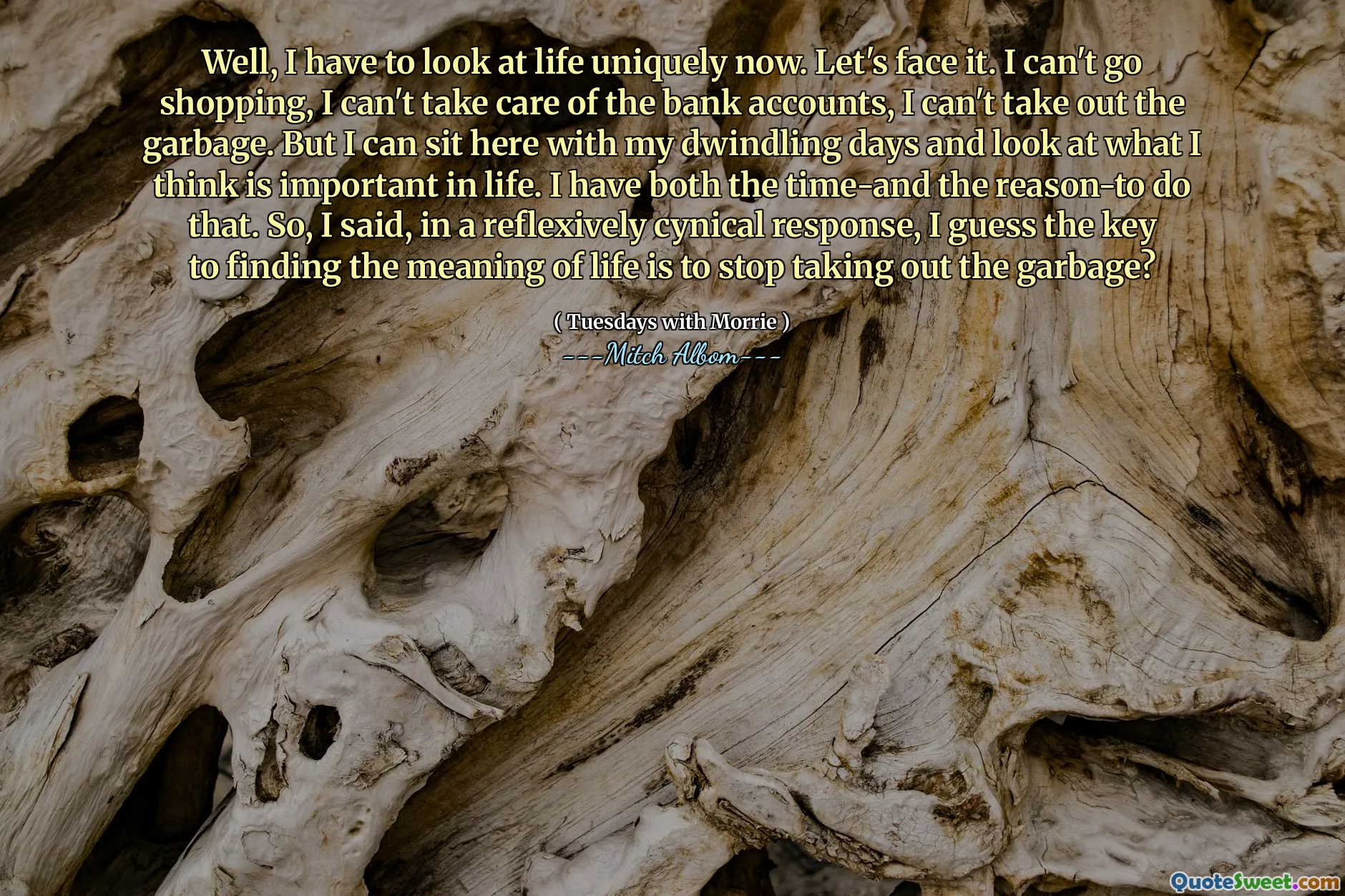 Nou, ik moet nu uniek naar het leven kijken. Laten we eerlijk zijn. Ik kan niet gaan winkelen, ik kan niet voor de bankrekeningen zorgen, ik kan het afval niet weghalen. Maar ik kan hier zitten met mijn afnemende dagen en kijken naar wat ik denk dat belangrijk is in het leven. Ik heb zowel de tijd als de reden om dat te doen. Dus, zei ik, in een reflexief cynische reactie, denk ik dat de sleutel tot het vinden van de zin van het leven is om te stoppen met het uitschakelen van de afval?
