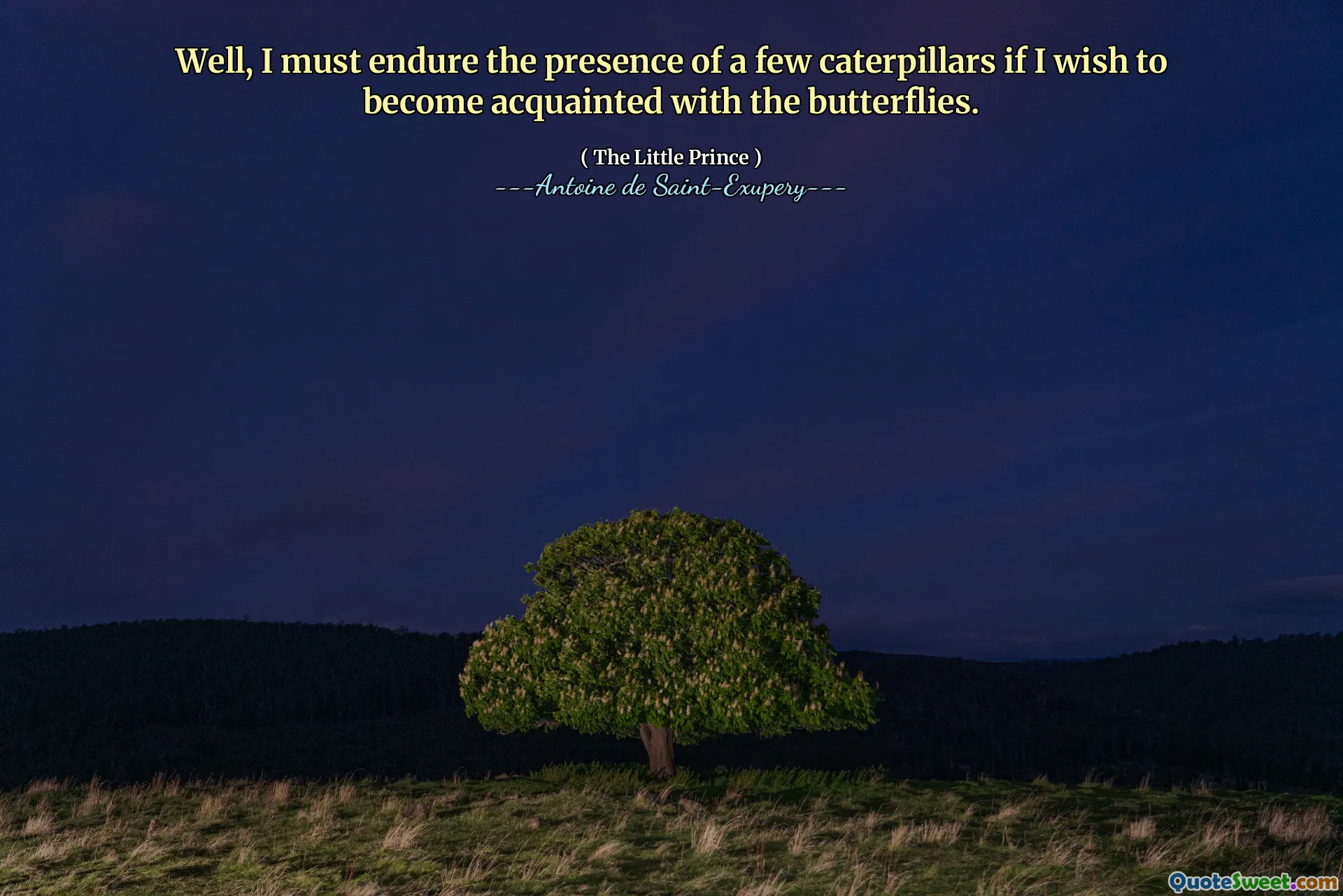 Well, I must endure the presence of a few caterpillars if I wish to become acquainted with the butterflies.