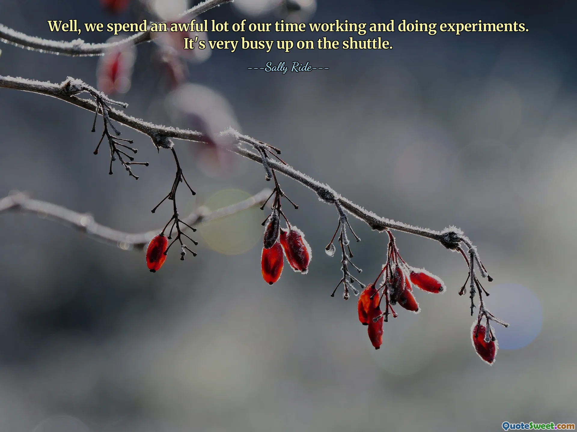 Well, we spend an awful lot of our time working and doing experiments. It's very busy up on the shuttle.