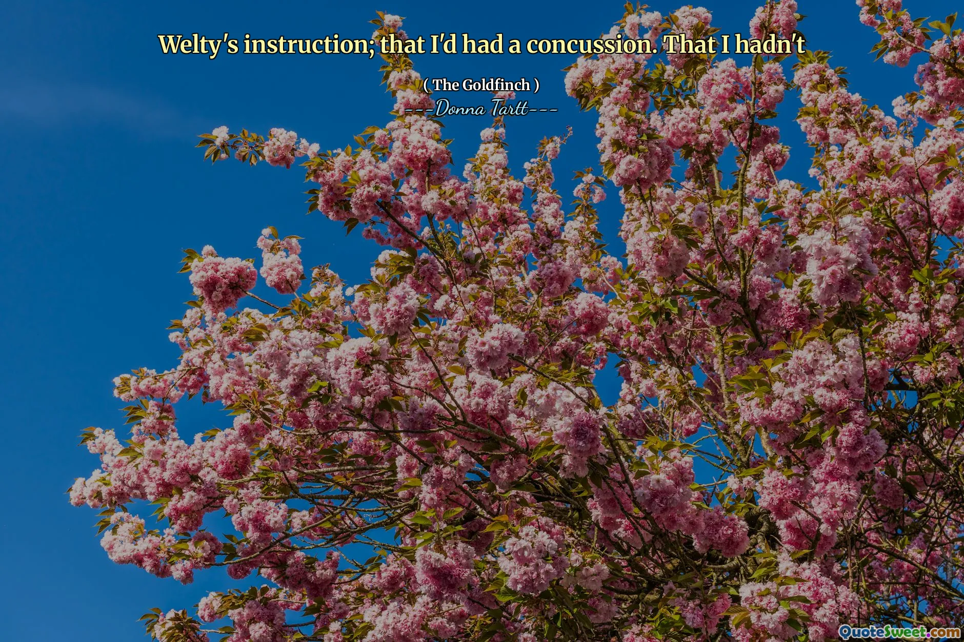 Welty's instruction; that I'd had a concussion. That I hadn't