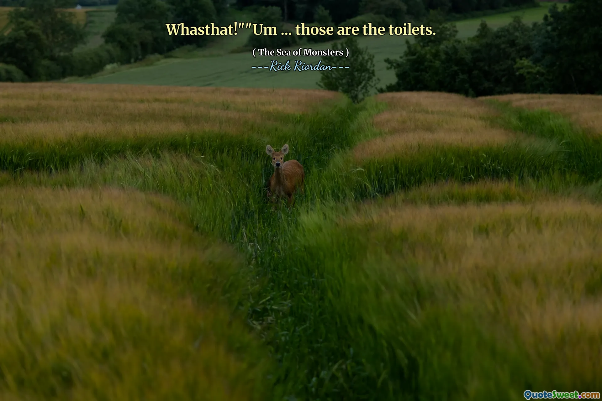 Whasthat!""Um ... those are the toilets.