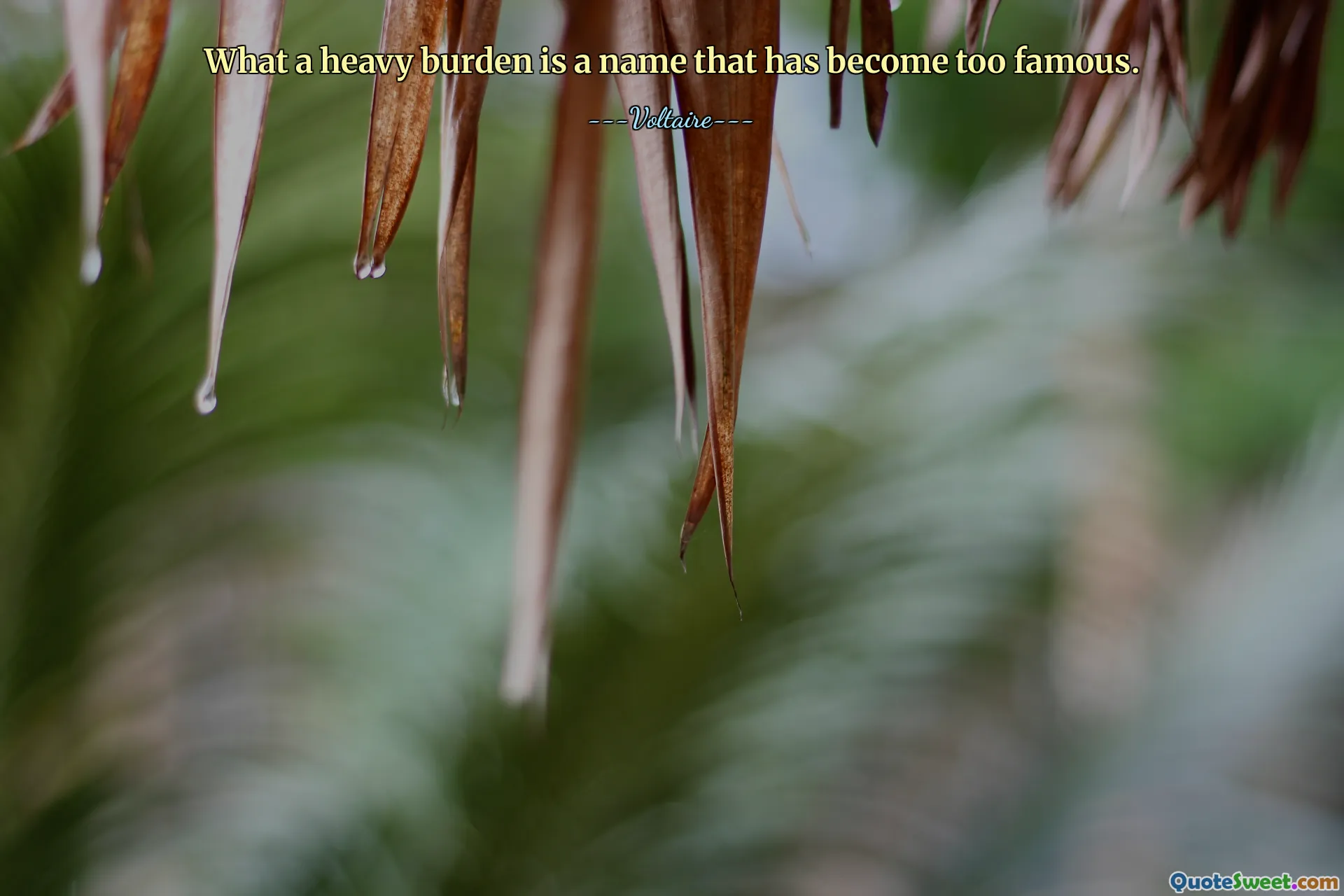 What a heavy burden is a name that has become too famous.