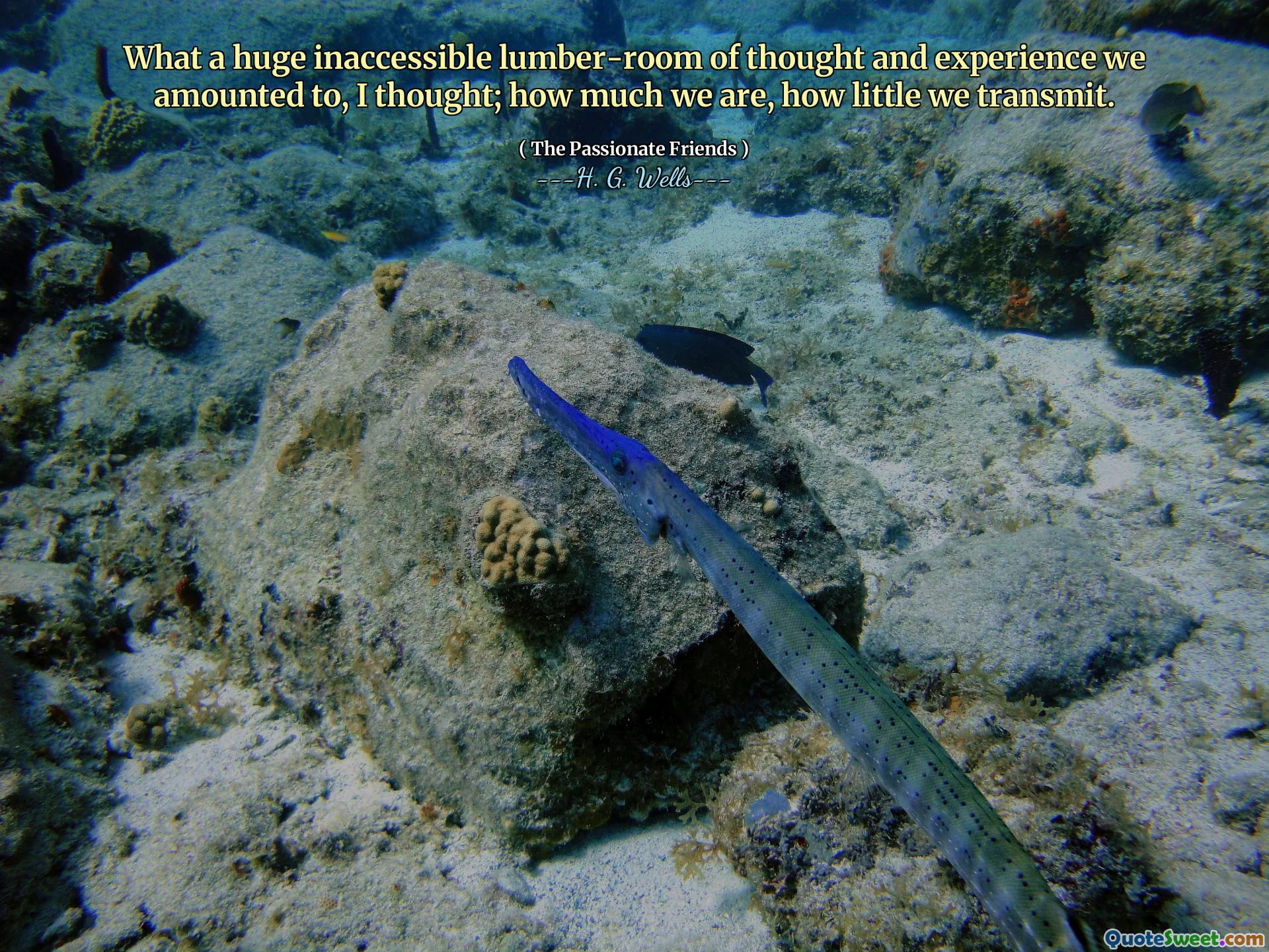 What a huge inaccessible lumber-room of thought and experience we amounted to, I thought; how much we are, how little we transmit.