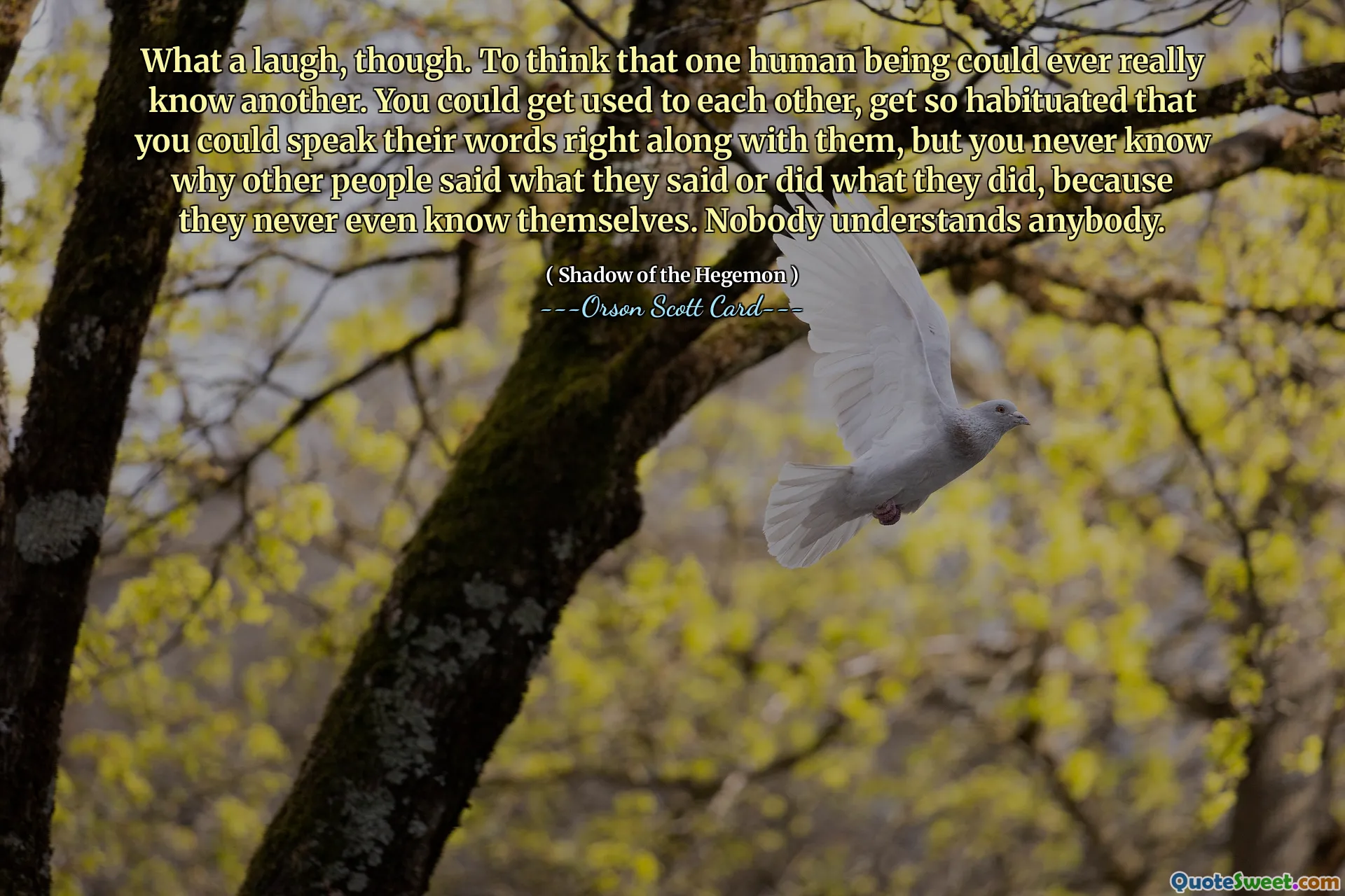 يا لها من ضحكة، رغم ذلك. الاعتقاد بأن إنسانًا واحدًا يمكنه أن يعرف شخصًا آخر حقًا. يمكنك أن تعتاد على بعضكما البعض، وتعتاد على التحدث بكلماتهما بشكل صحيح معهم، لكنك لا تعرف أبدًا لماذا قال الآخرون ما قالوا أو فعلوا ما فعلوه، لأنهم حتى لا يعرفون أنفسهم أبدًا. لا أحد يفهم أحدا.