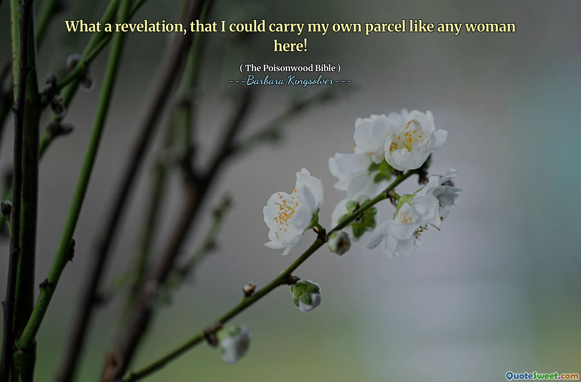 Vilken uppenbarelse, att jag kunde bära mitt eget paket som alla kvinnor här!