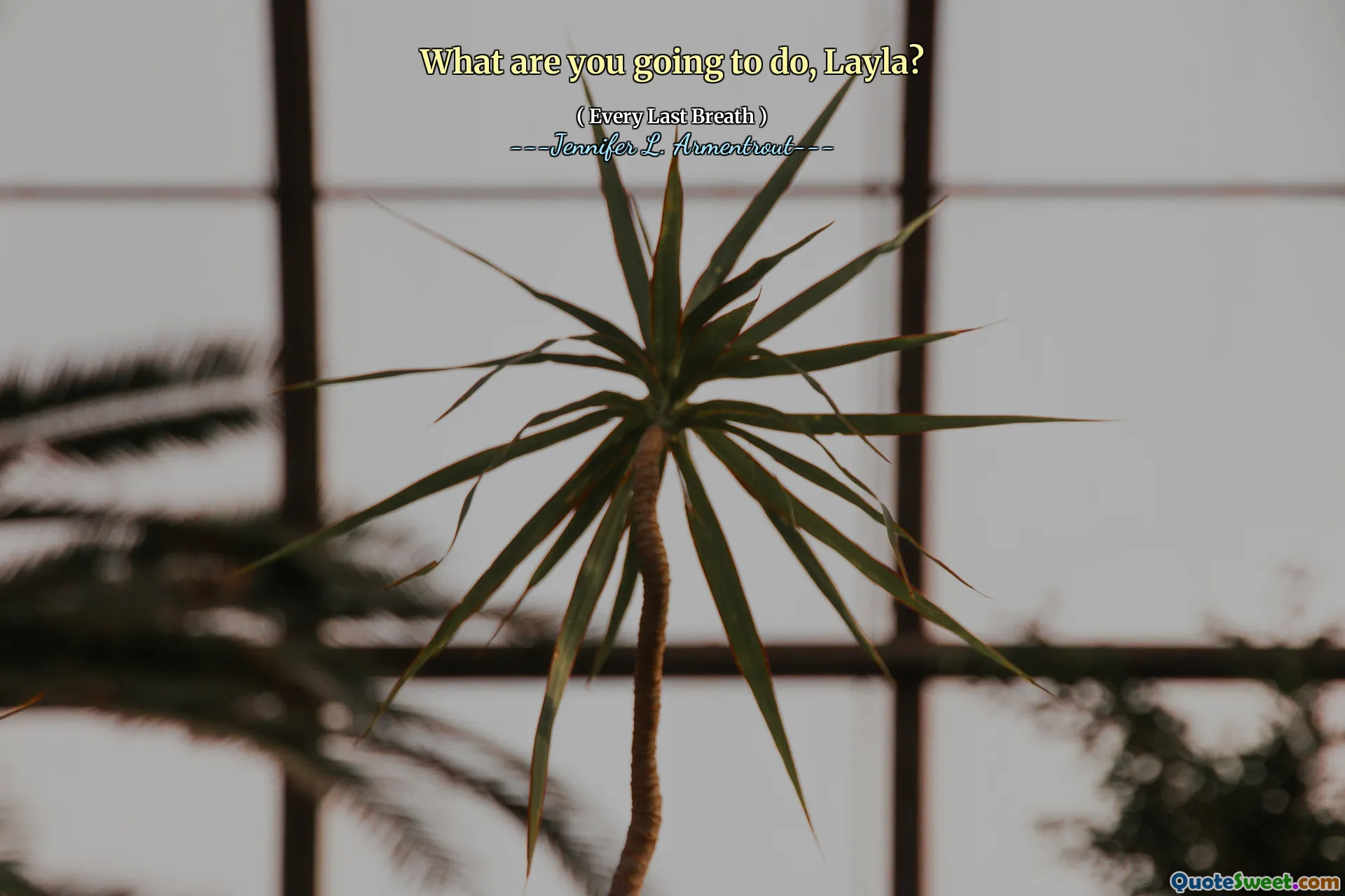 What are you going to do, Layla?