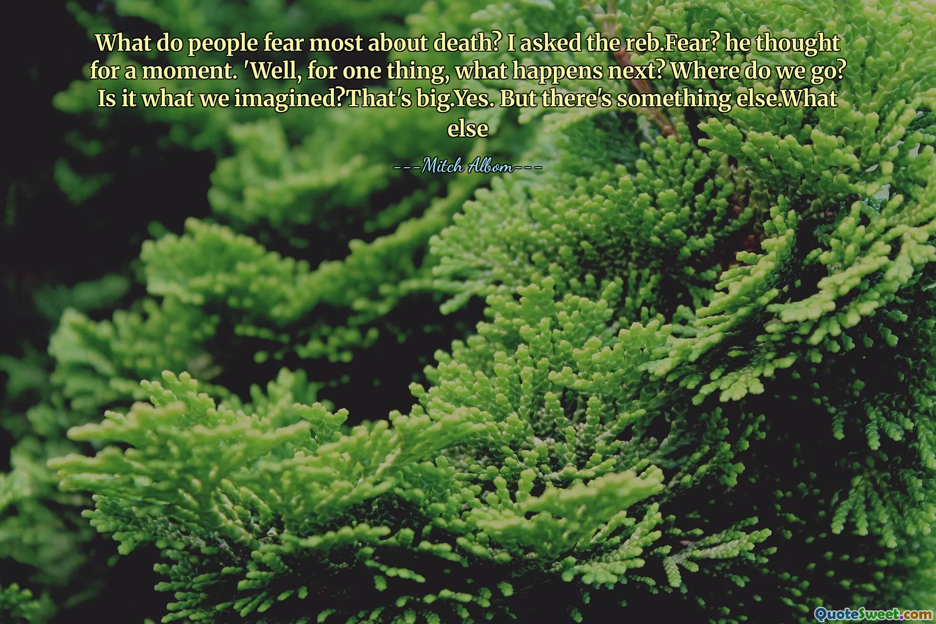 What do people fear most about death? I asked the reb.Fear? he thought for a moment. 'Well, for one thing, what happens next? Where do we go? Is it what we imagined?That's big.Yes. But there's something else.What else