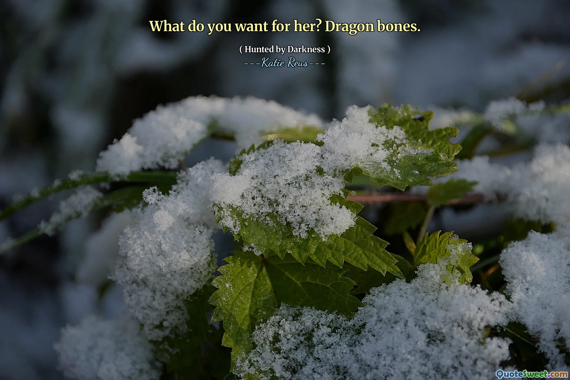 What do you want for her? Dragon bones.