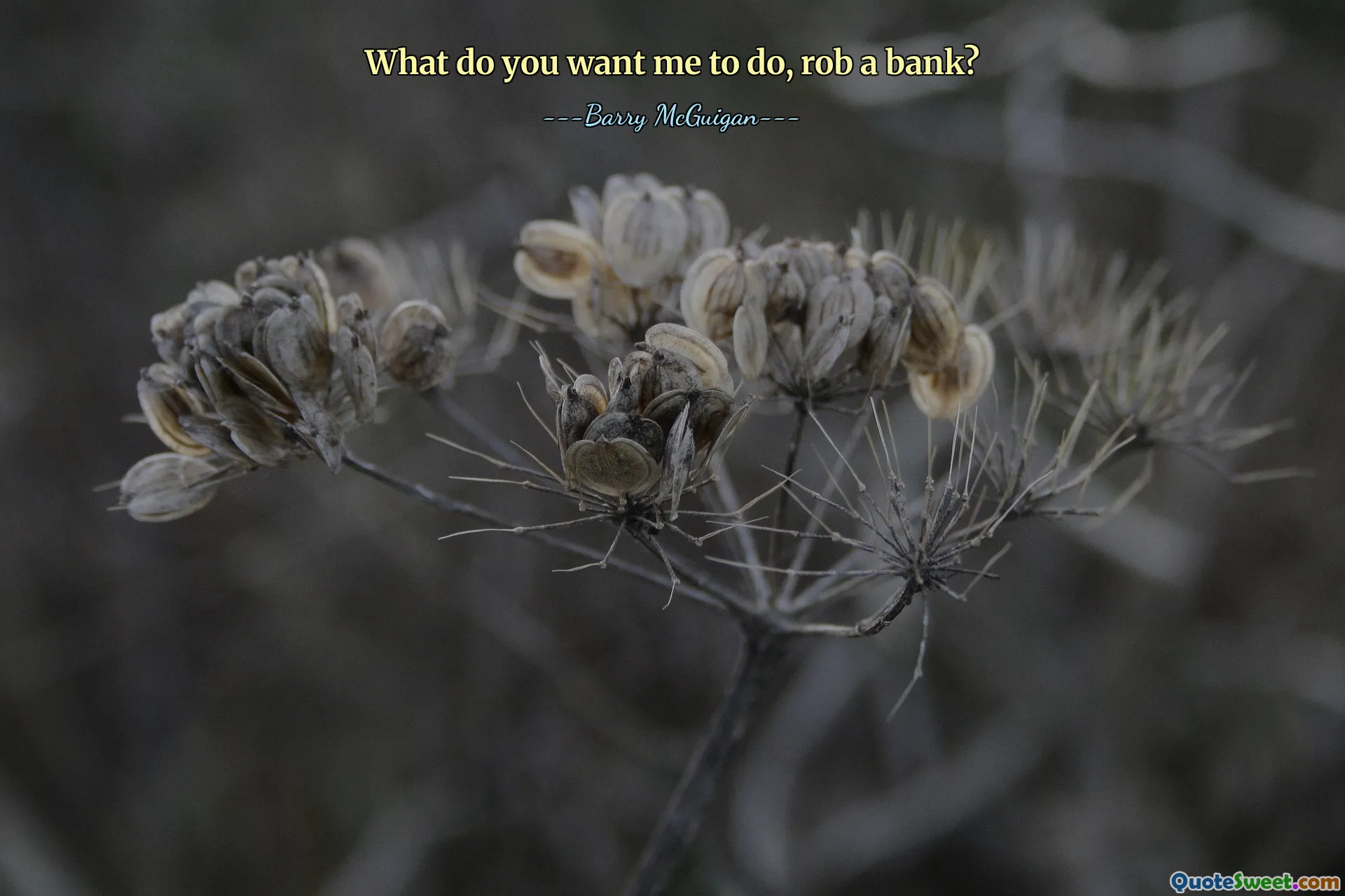 आप मुझसे क्या करवाना चाहते हैं, बैंक लूटना?