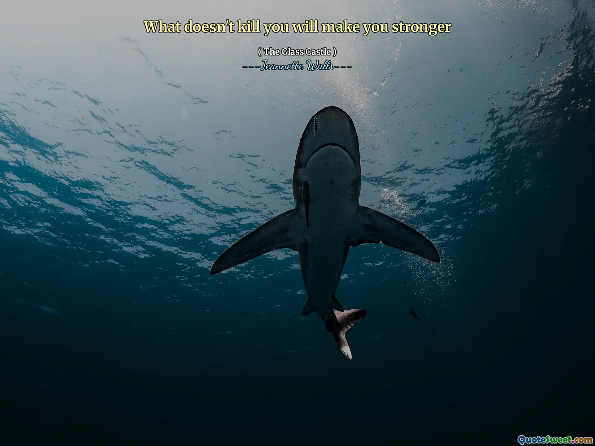 Apa yang tidak membunuh Anda akan membuat Anda lebih kuat