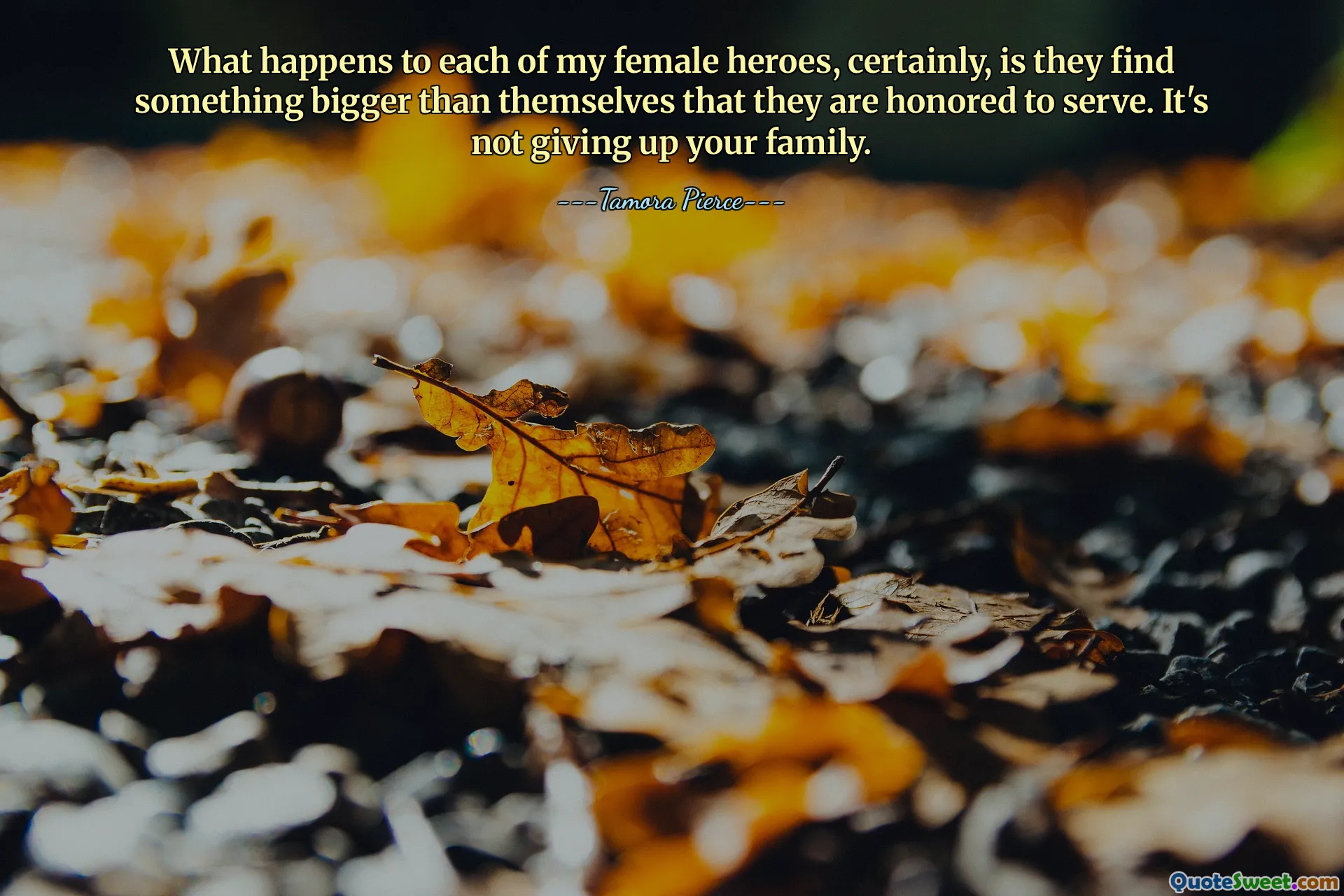 What happens to each of my female heroes, certainly, is they find something bigger than themselves that they are honored to serve. It's not giving up your family.
