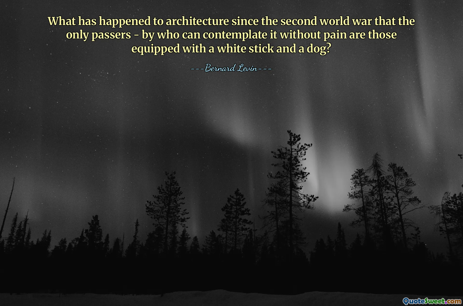 ¿Qué ha ocurrido con la arquitectura desde la Segunda Guerra Mundial para que los únicos transeúntes que pueden contemplarla sin dolor sean los que llevan un bastón blanco y un perro?