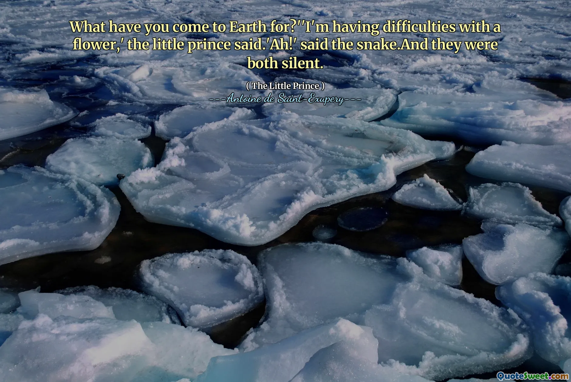 What have you come to Earth for?''I'm having difficulties with a flower,' the little prince said.'Ah!' said the snake.And they were both silent.