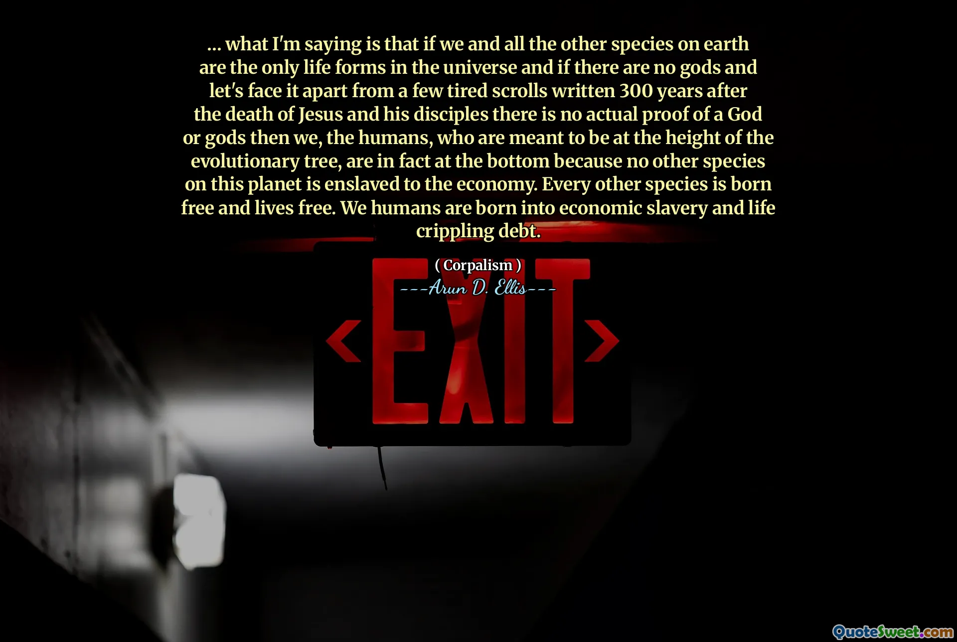 … what I'm saying is that if we and all the other species on earth are the only life forms in the universe and if there are no gods and let's face it apart from a few tired scrolls written 300 years after the death of Jesus and his disciples there is no actual proof of a God or gods then we, the humans, who are meant to be at the height of the evolutionary tree, are in fact at the bottom because no other species on this planet is enslaved to the economy. Every other species is born free and lives free. We humans are born into economic slavery and life crippling debt.