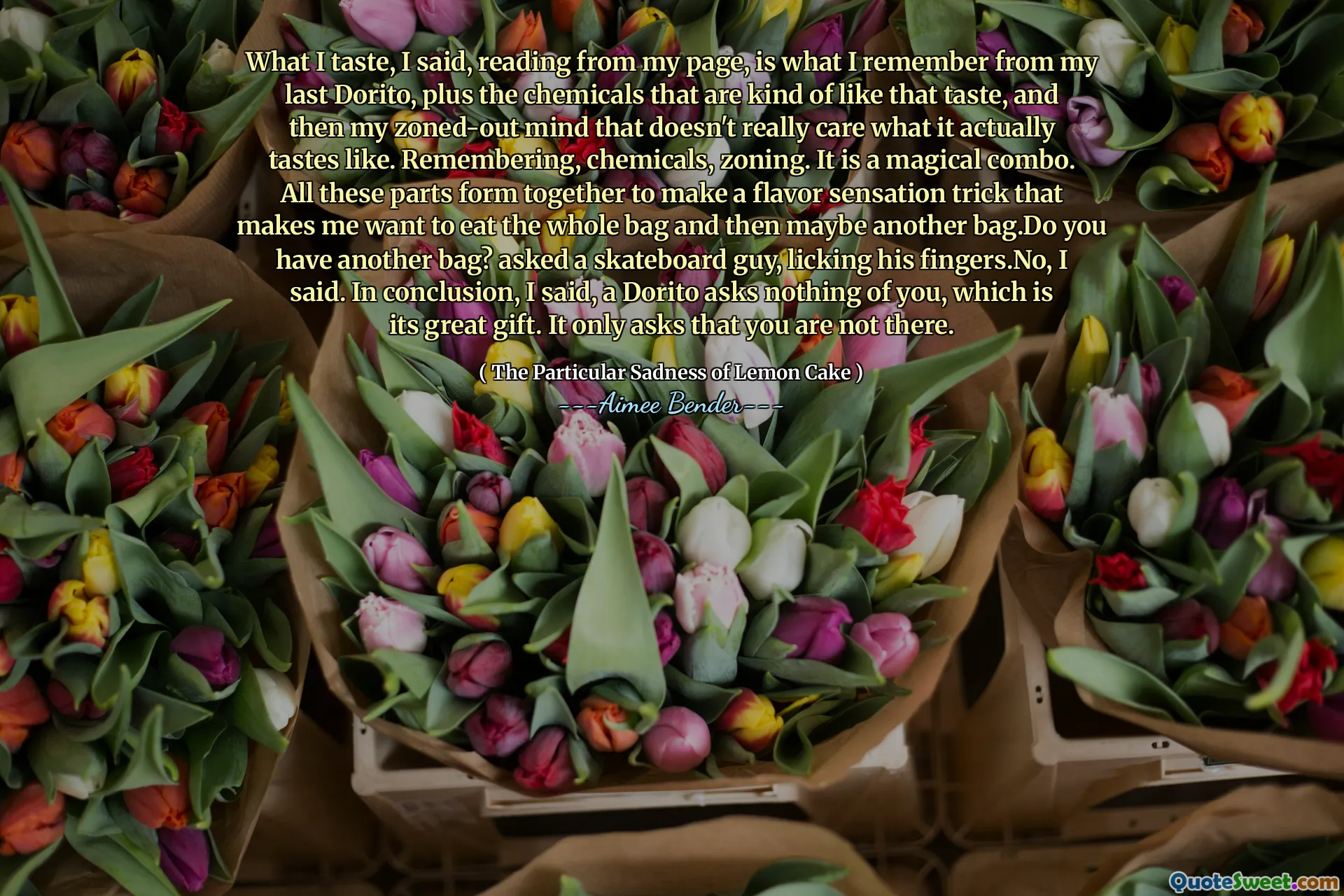 Ceea ce am gust, am spus, citind din pagina mea, este ceea ce îmi amintesc din ultimul meu Dorito, plus substanțele chimice care sunt cam așa de gust, și apoi mintea mea zonată, care nu-i pasă cu adevărat cum are de fapt gust. Amintirea, substanțele chimice, zonarea. Este un combo magic. Toate aceste părți se formează împreună pentru a face un truc de senzație de aromă care mă face să vreau să mănânc întreaga geantă și apoi poate o altă geantă. Ai o altă geantă? Am întrebat un tip de skateboard, lingându -și degetele. Nu, am spus. În concluzie, am spus, un Dorito nu întreabă nimic din tine, care este marele său dar. Vă cere doar să nu sunteți acolo.