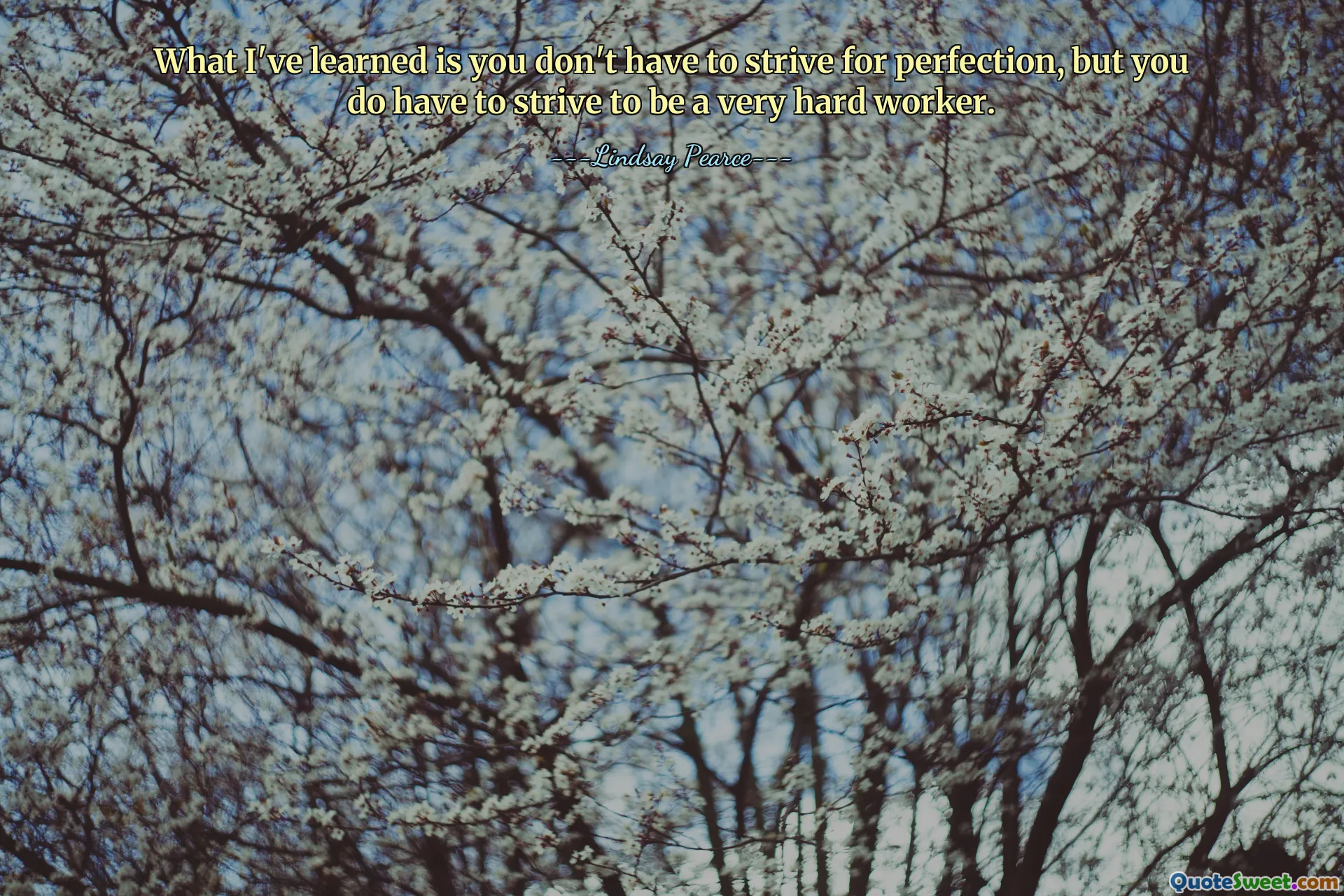 Wat ik heb geleerd is dat je niet naar perfectie hoeft te streven, maar dat je er wel naar moet streven een heel harde werker te zijn.