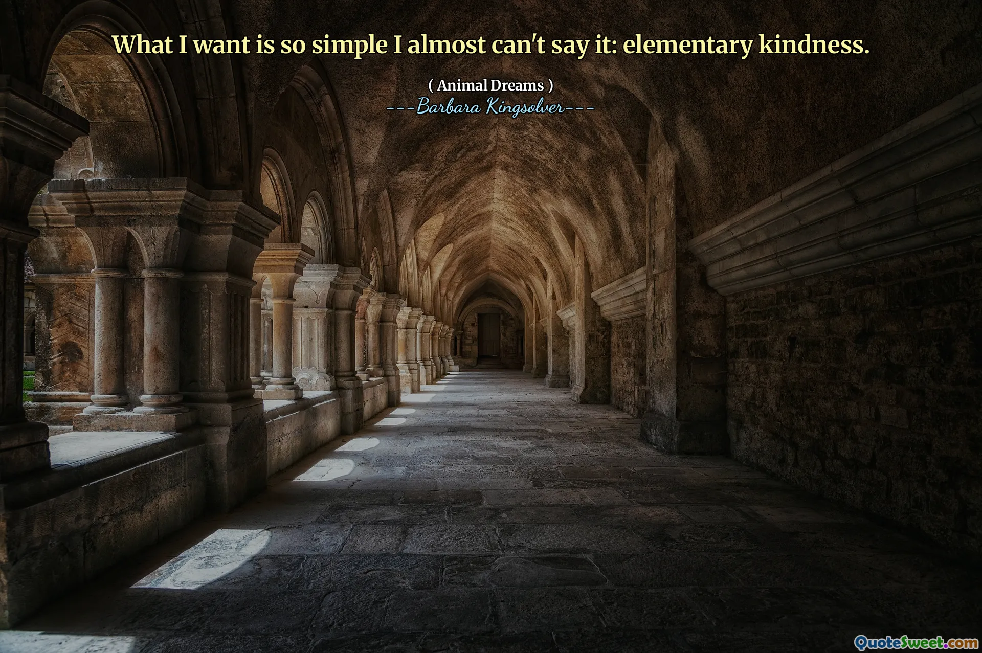 Quello che voglio è così semplice che non posso quasi dirlo: gentilezza elementare.