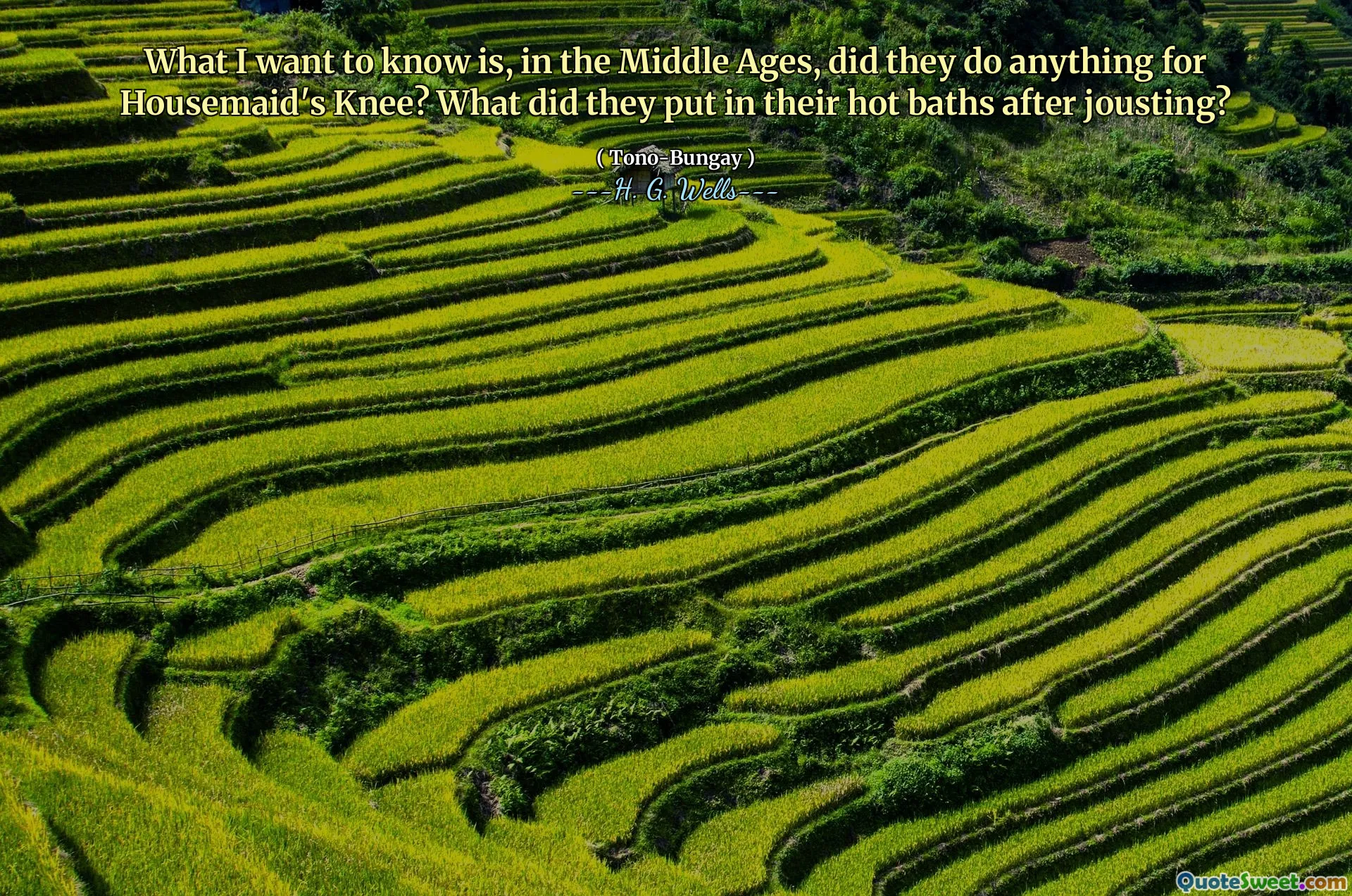 What I want to know is, in the Middle Ages, did they do anything for Housemaid's Knee? What did they put in their hot baths after jousting?