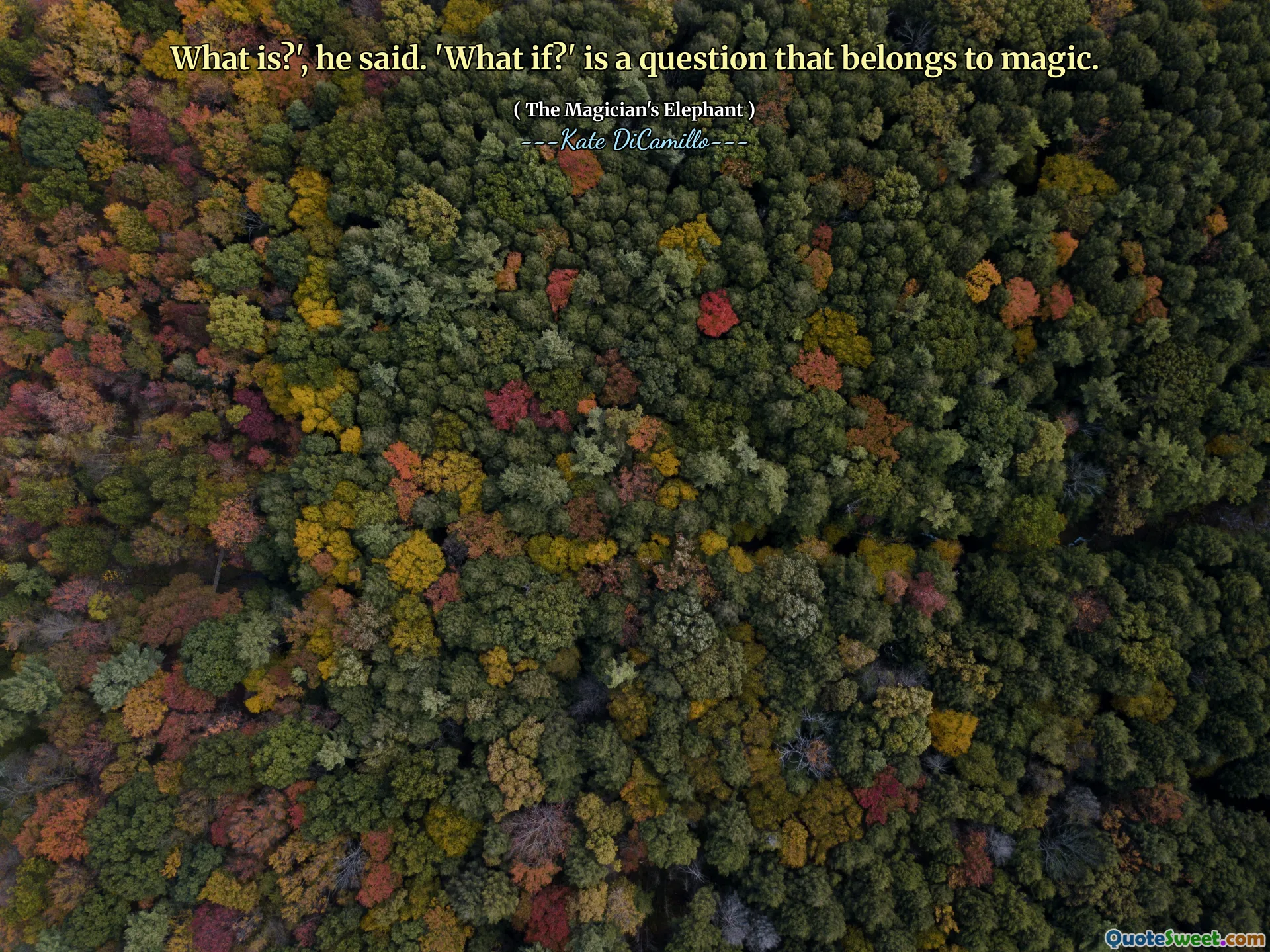 What is?', he said. 'What if?' is a question that belongs to magic.